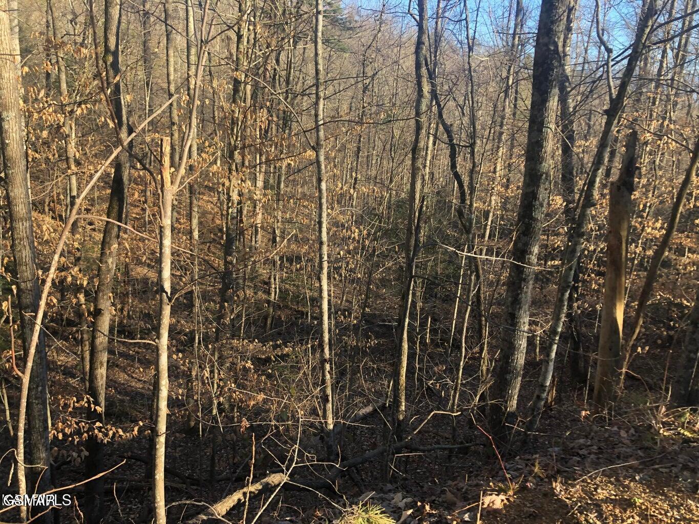 Lot 68 Yellowwood Drive Sevierville TN 37876
