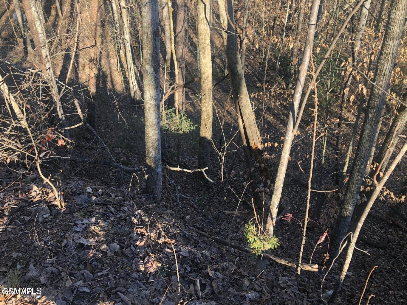 Lot 68 Yellowwood Drive Sevierville TN 37876