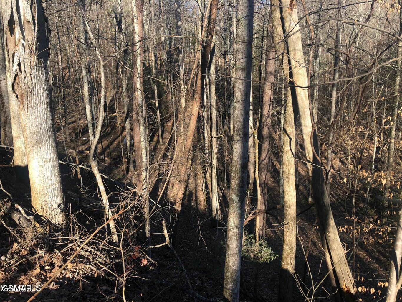 Lot 68 Yellowwood Drive Sevierville TN 37876
