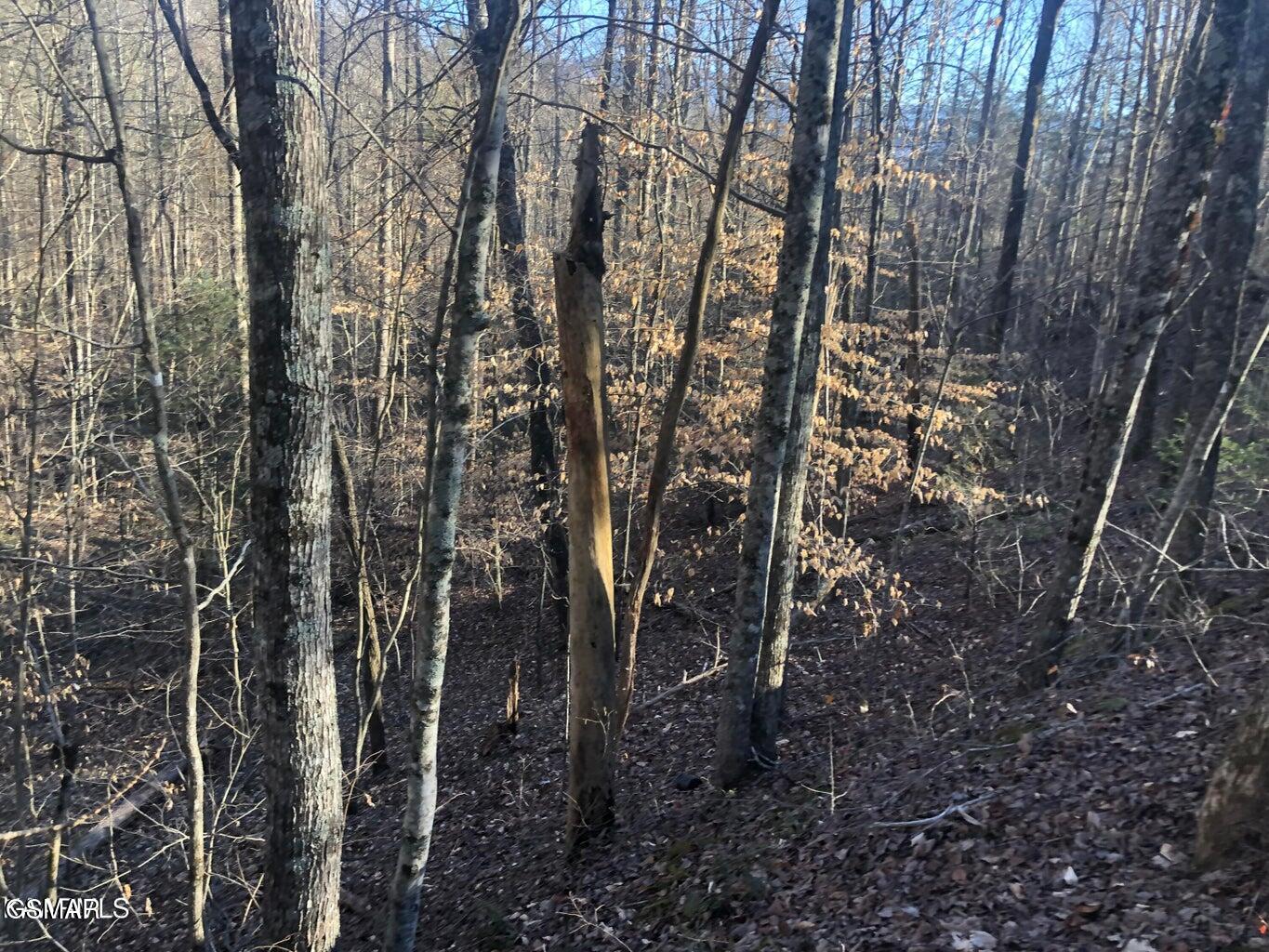 Lot 68 Yellowwood Drive Sevierville TN 37876