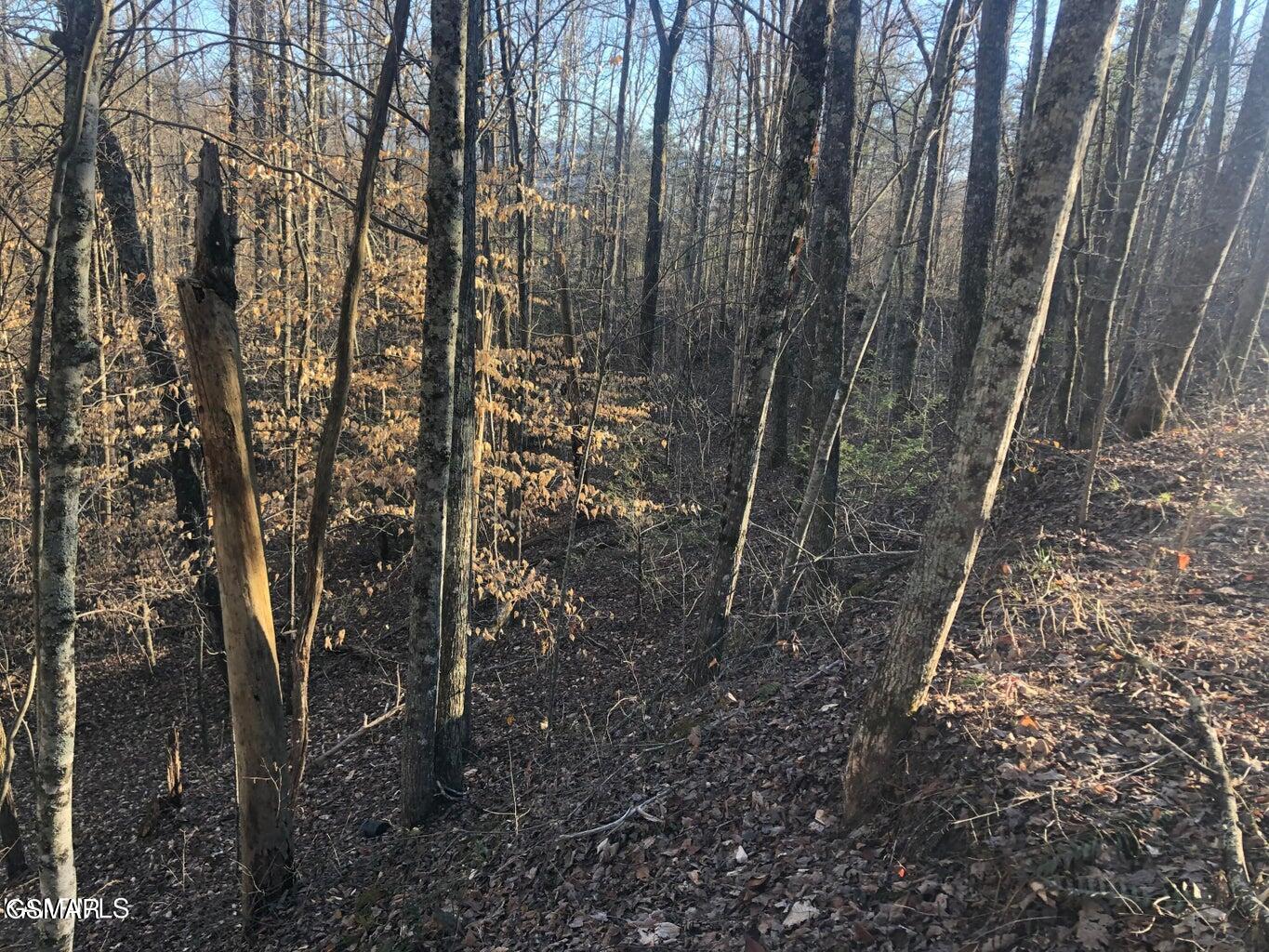 Lot 68 Yellowwood Drive Sevierville TN 37876