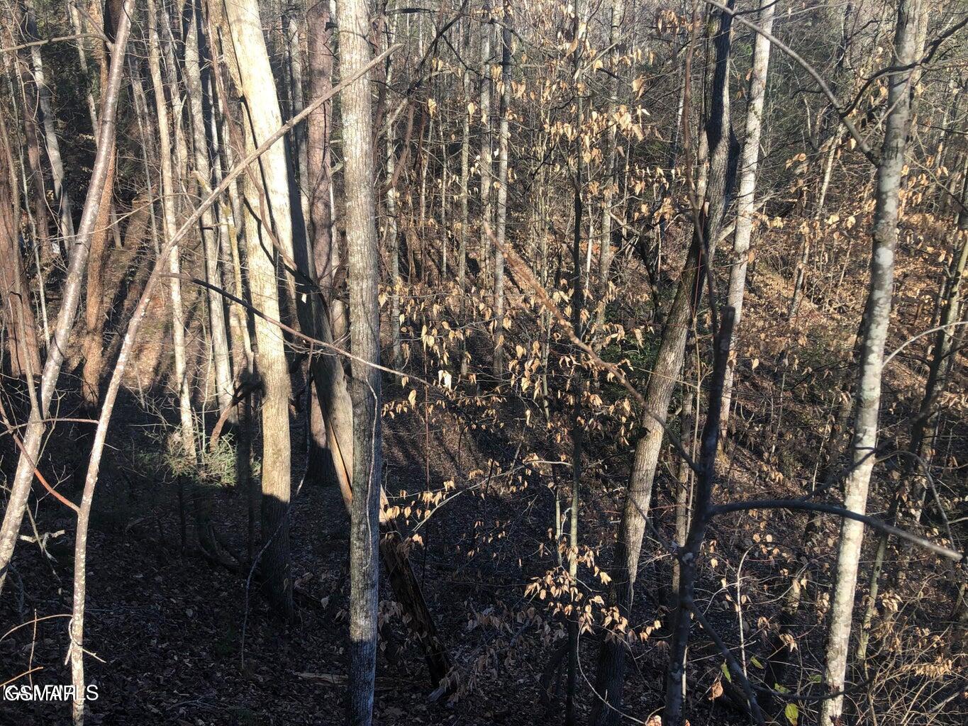 Lot 68 Yellowwood Drive Sevierville TN 37876