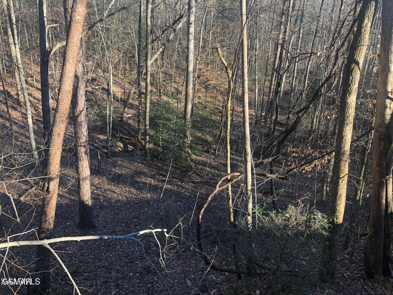 Lot 68 Yellowwood Drive Sevierville TN 37876
