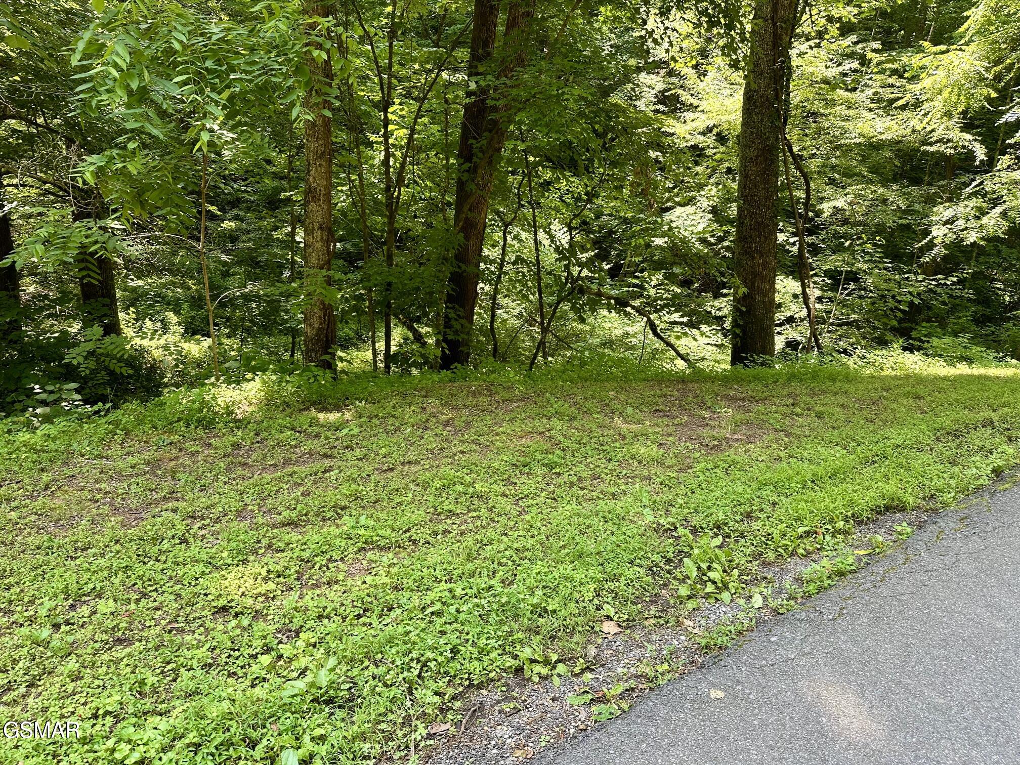 Lot 706a School House Gap Road Sevierville TN 37876