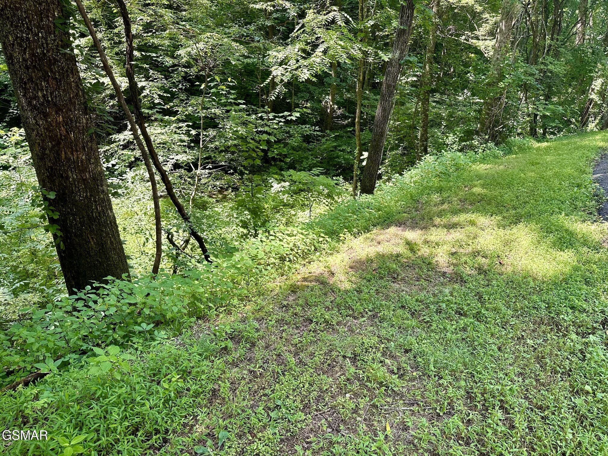 Lot 706a School House Gap Road Sevierville TN 37876