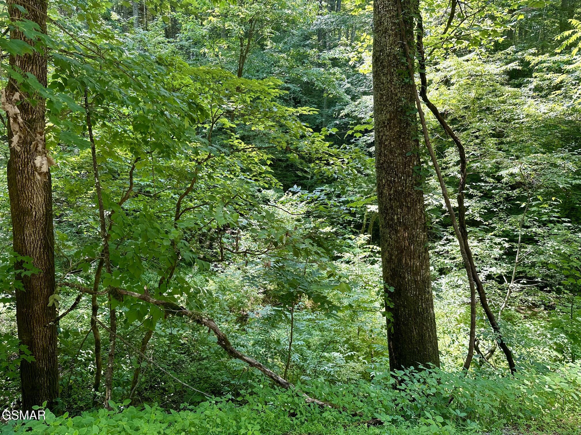 Lot 706a School House Gap Road Sevierville TN 37876