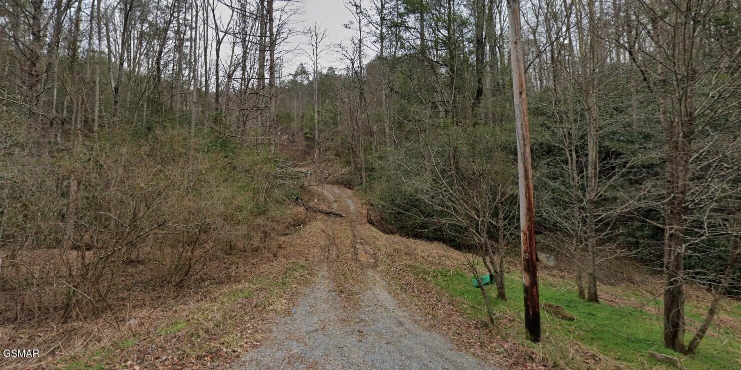 1210 Laurel Lick Road Pigeon Forge TN 37862