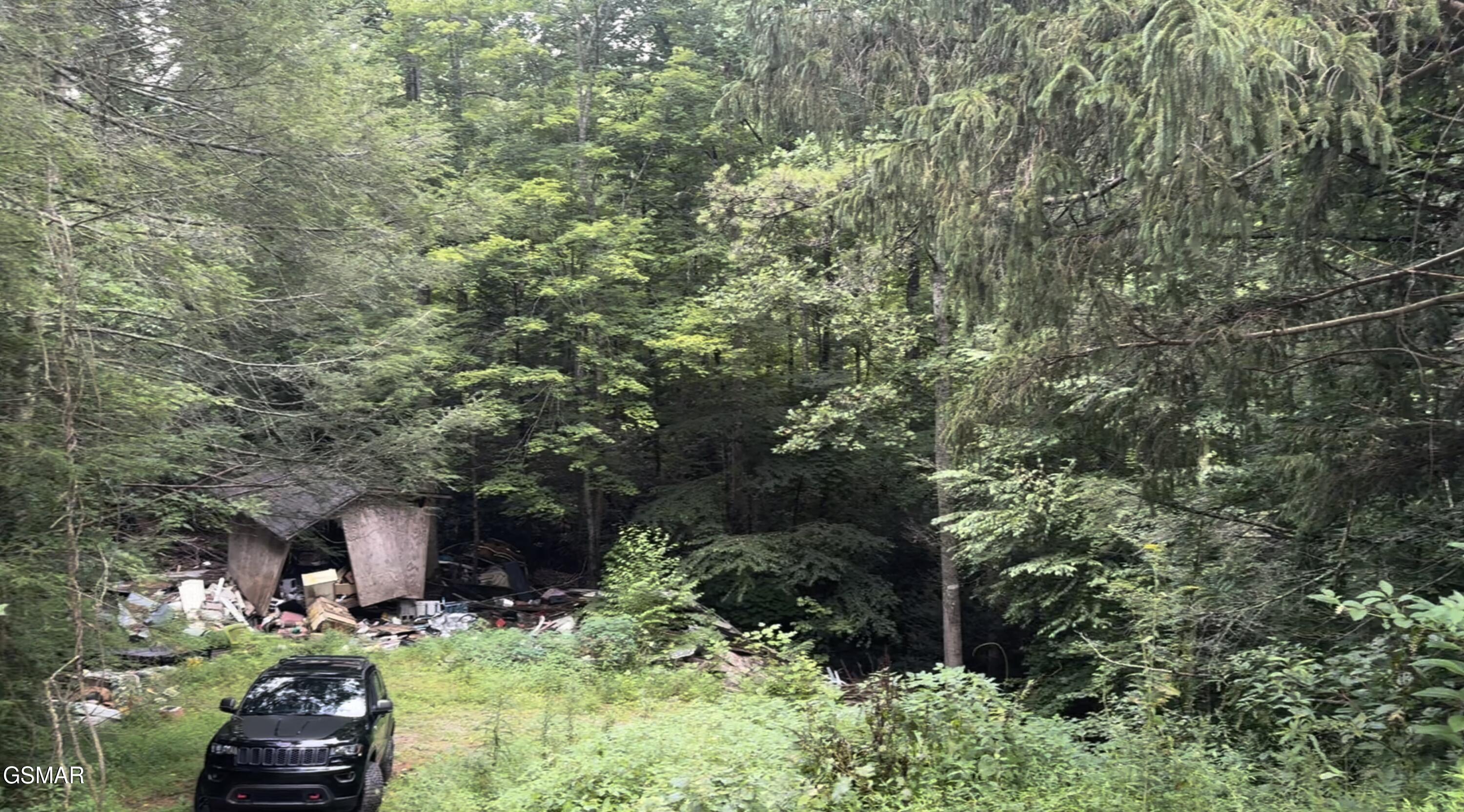 1210 Laurel Lick Road Pigeon Forge TN 37862