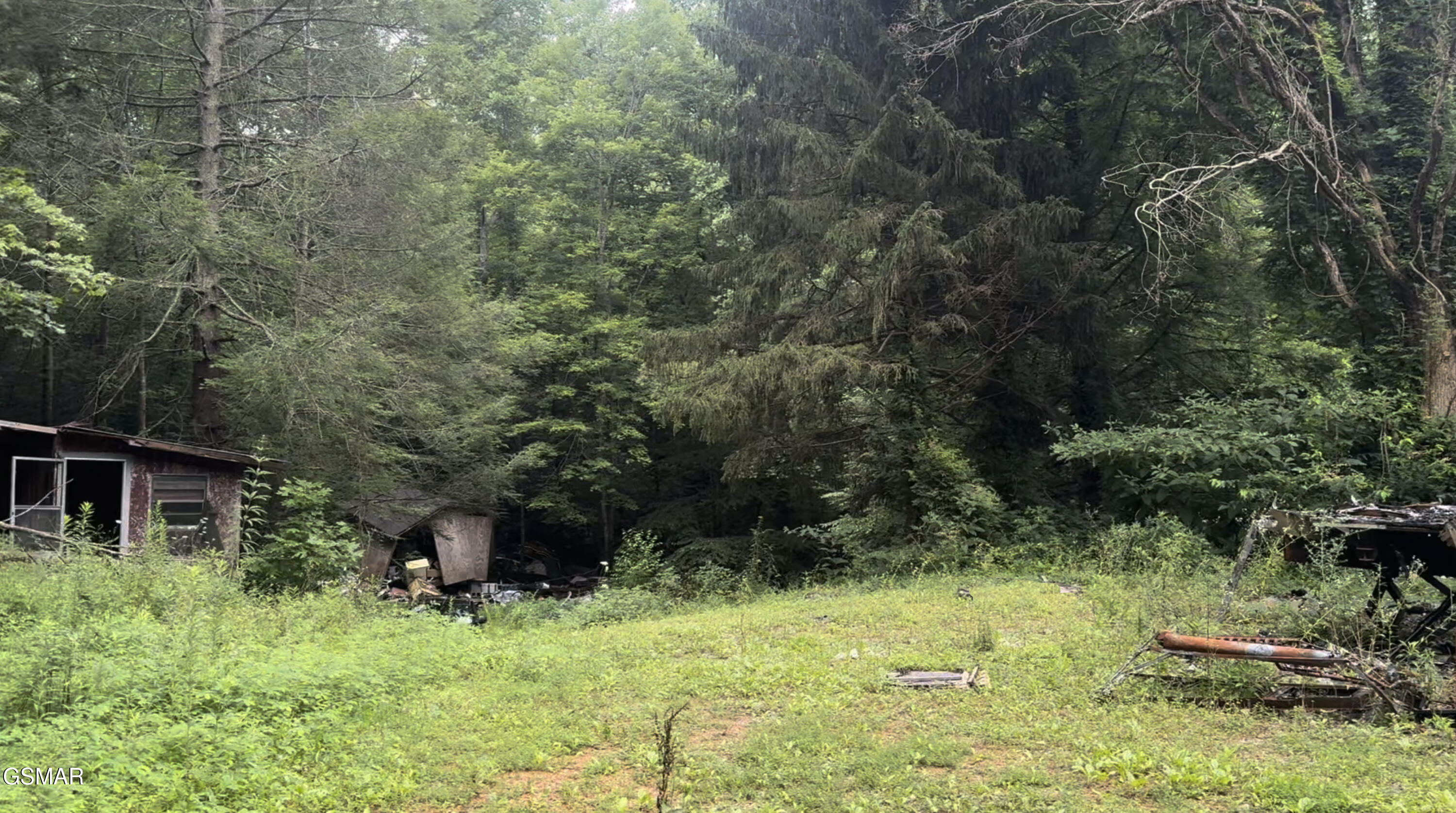 1210 Laurel Lick Road Pigeon Forge TN 37862