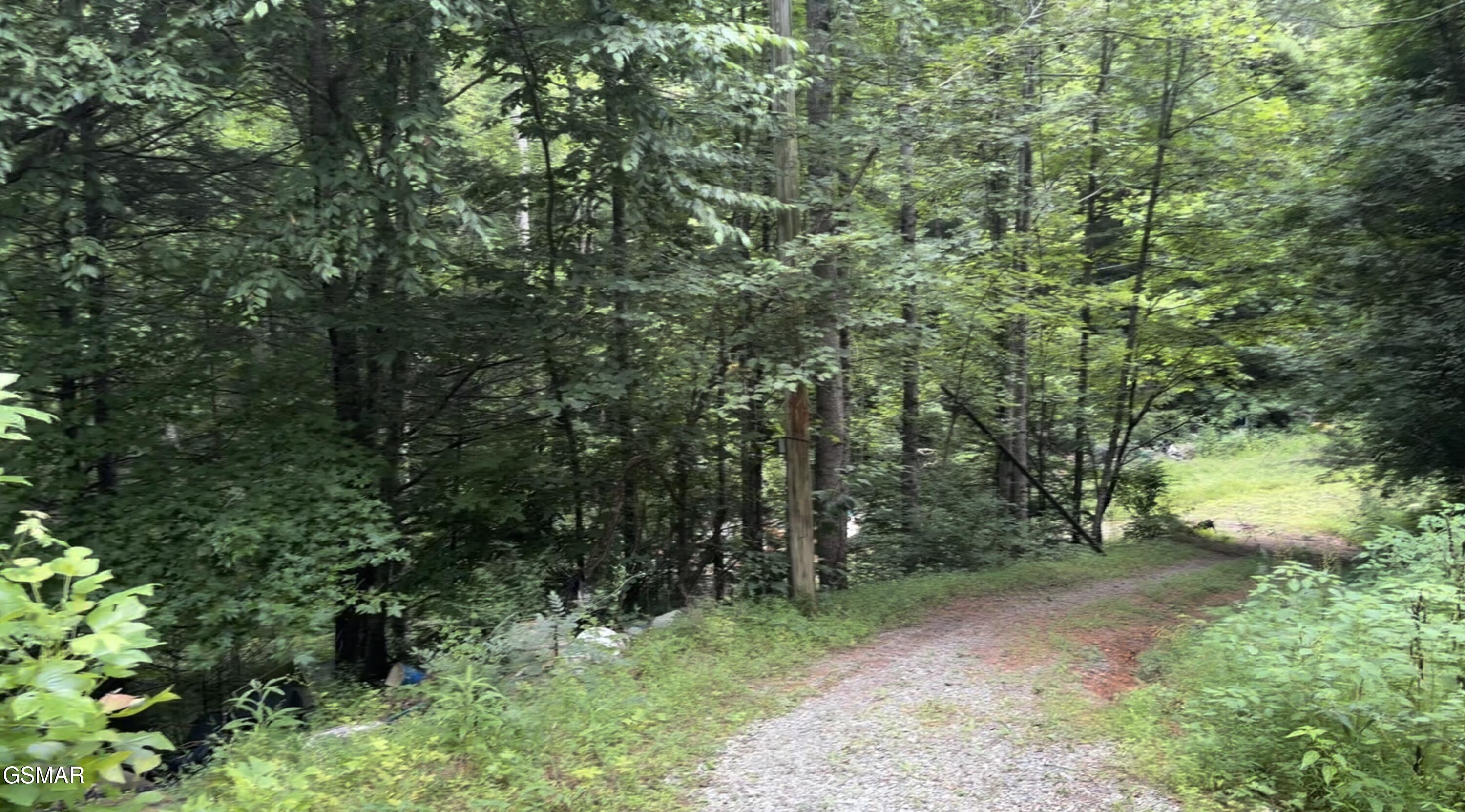 1210 Laurel Lick Road Pigeon Forge TN 37862