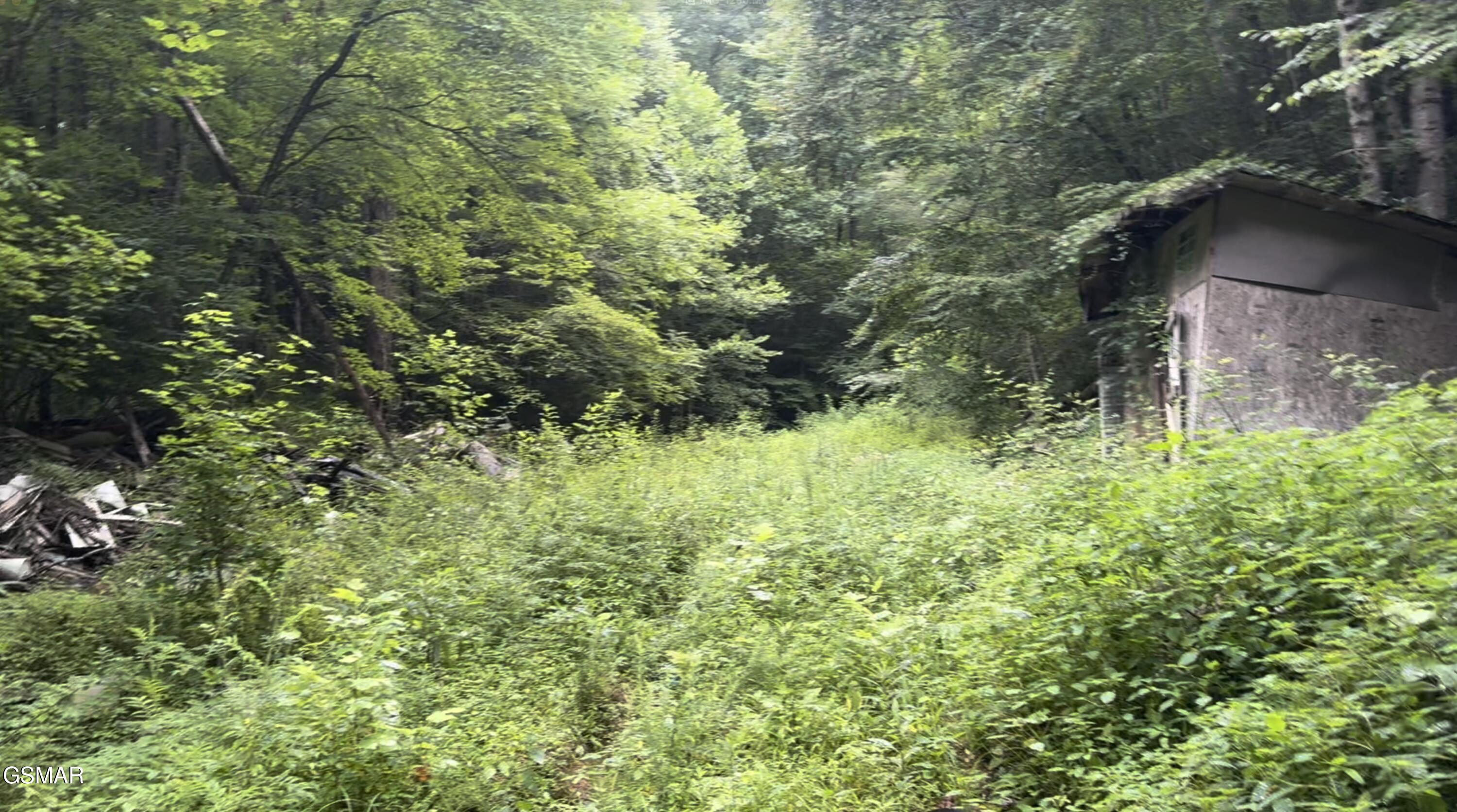 1210 Laurel Lick Road Pigeon Forge TN 37862