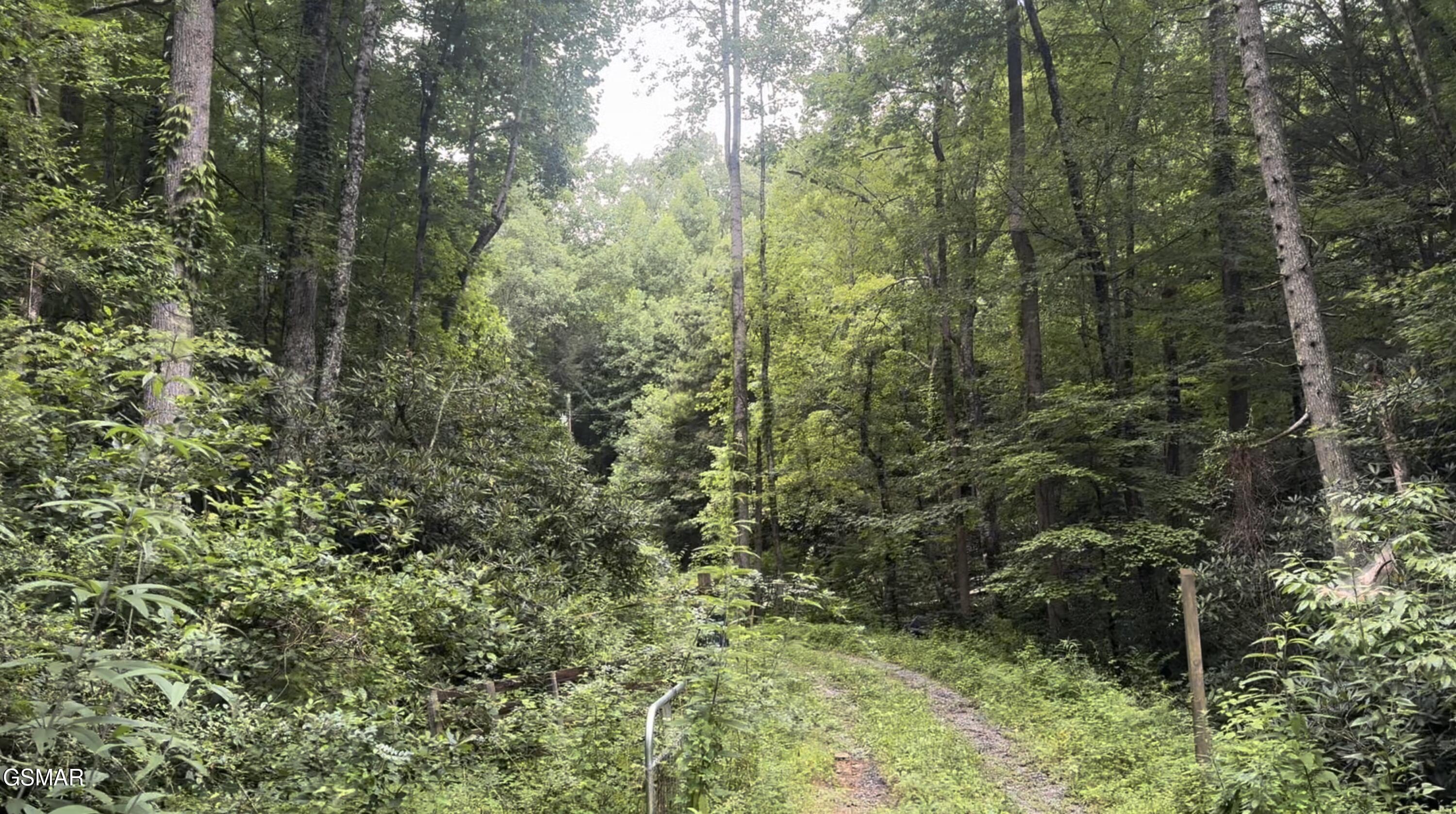 1210 Laurel Lick Road Pigeon Forge TN 37862