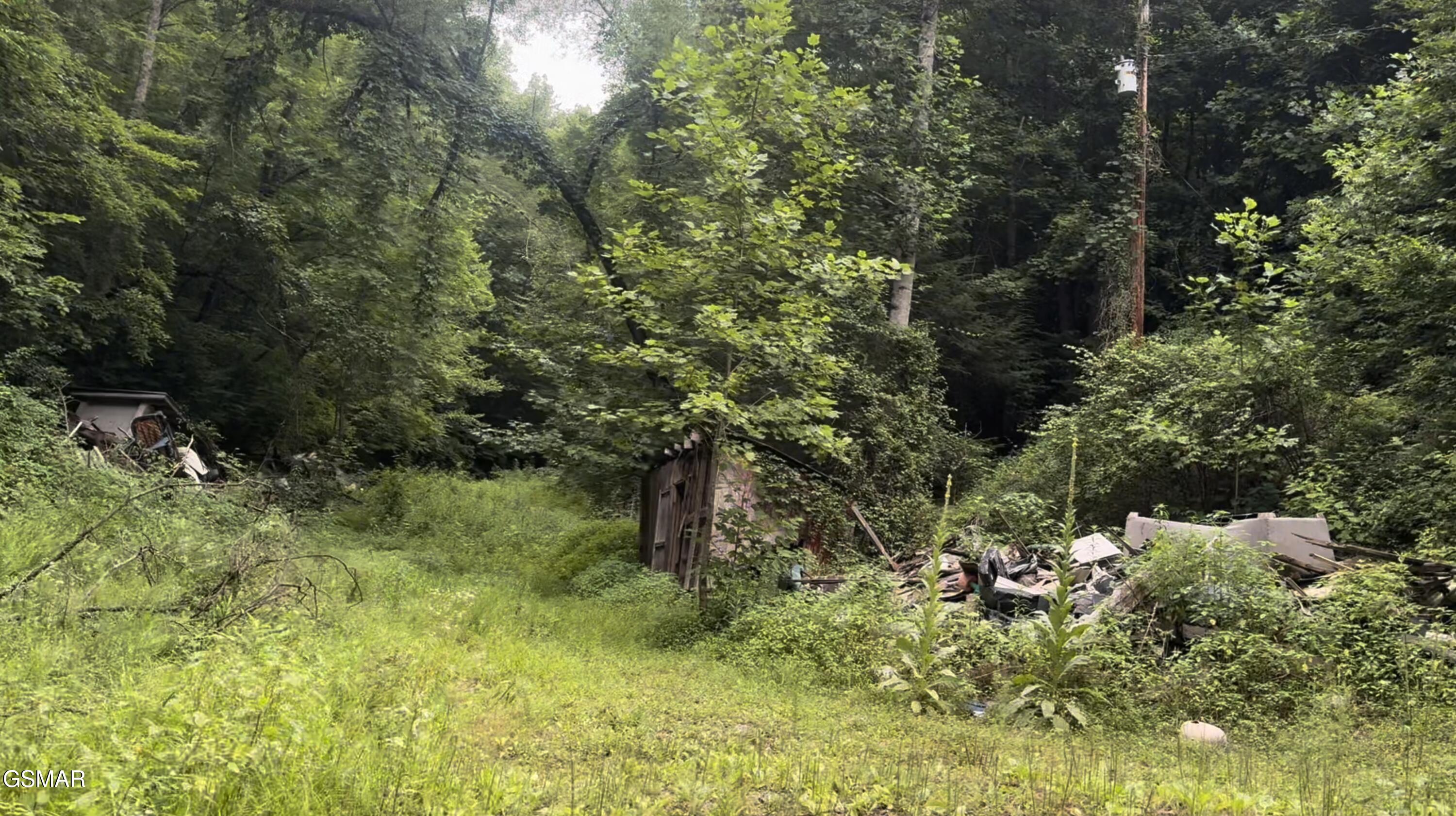 1210 Laurel Lick Road Pigeon Forge TN 37862