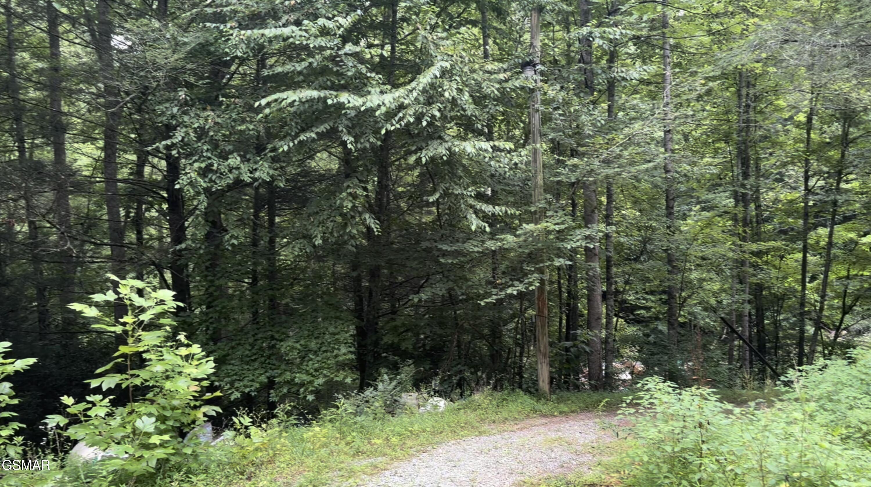 1210 Laurel Lick Road Pigeon Forge TN 37862