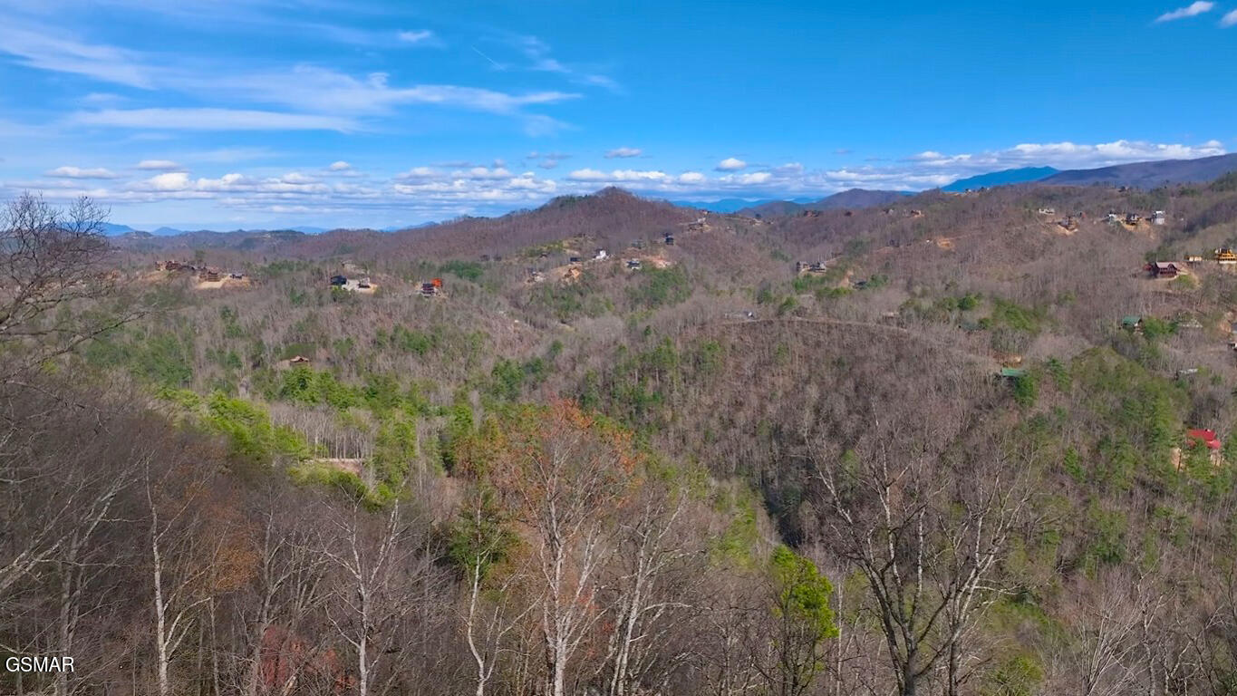 Lot 0034 Black Walnut Flats Road Sevierville TN 37862