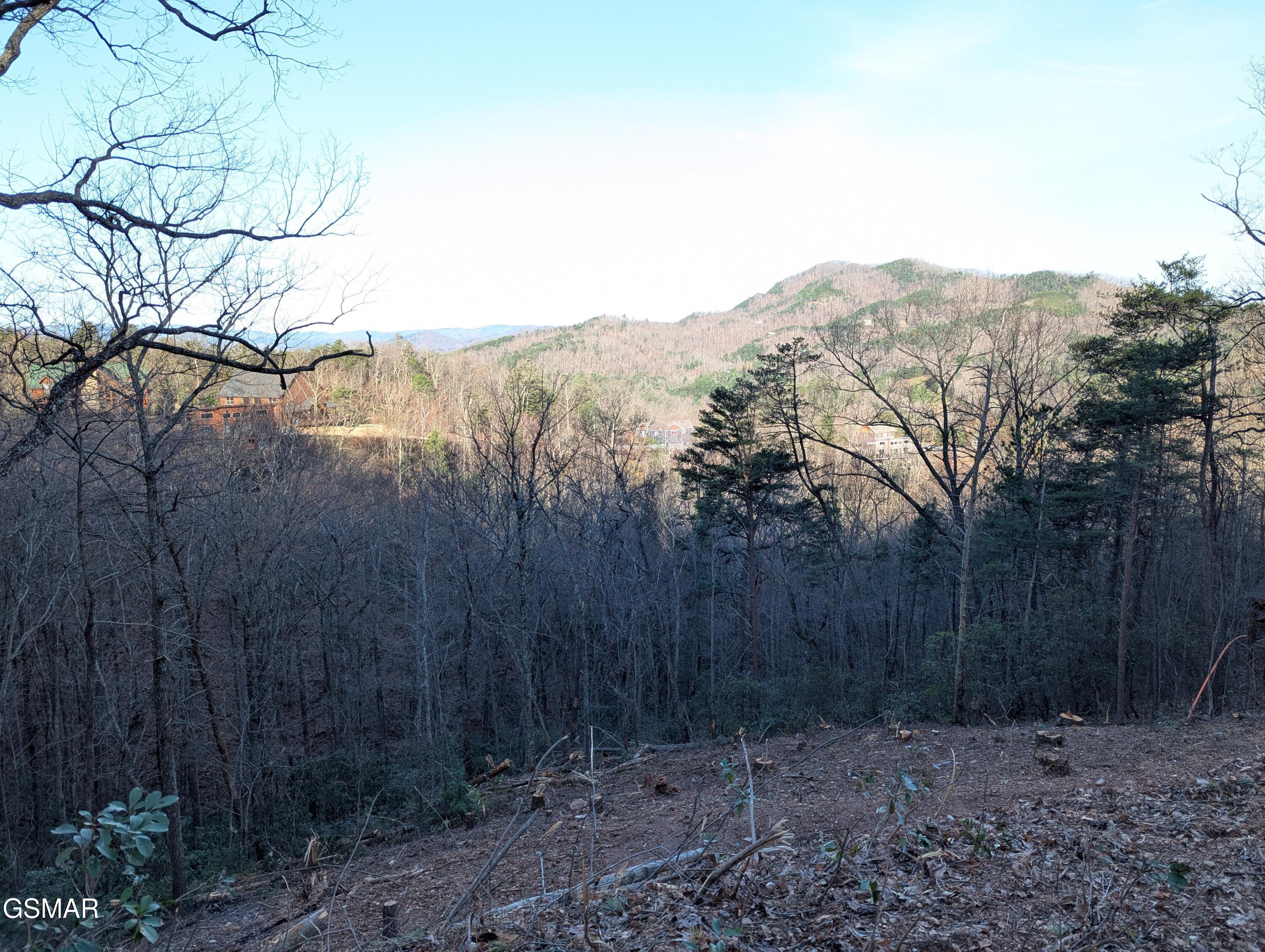 Lot 36r Grouse Ridge Lane Sevierville TN 37862