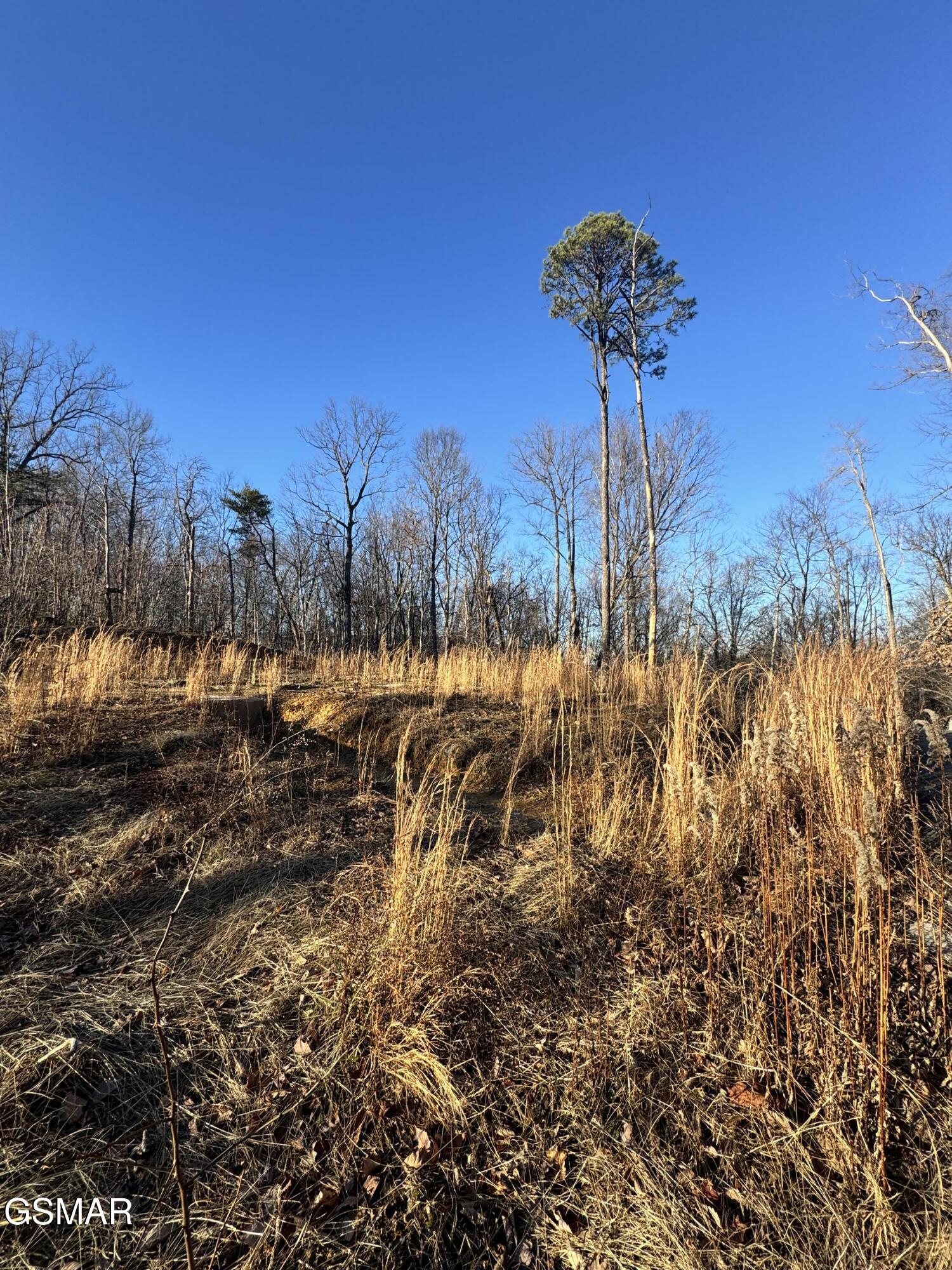 3361 Sugar Maple Loop Road Sevierville TN 37862
