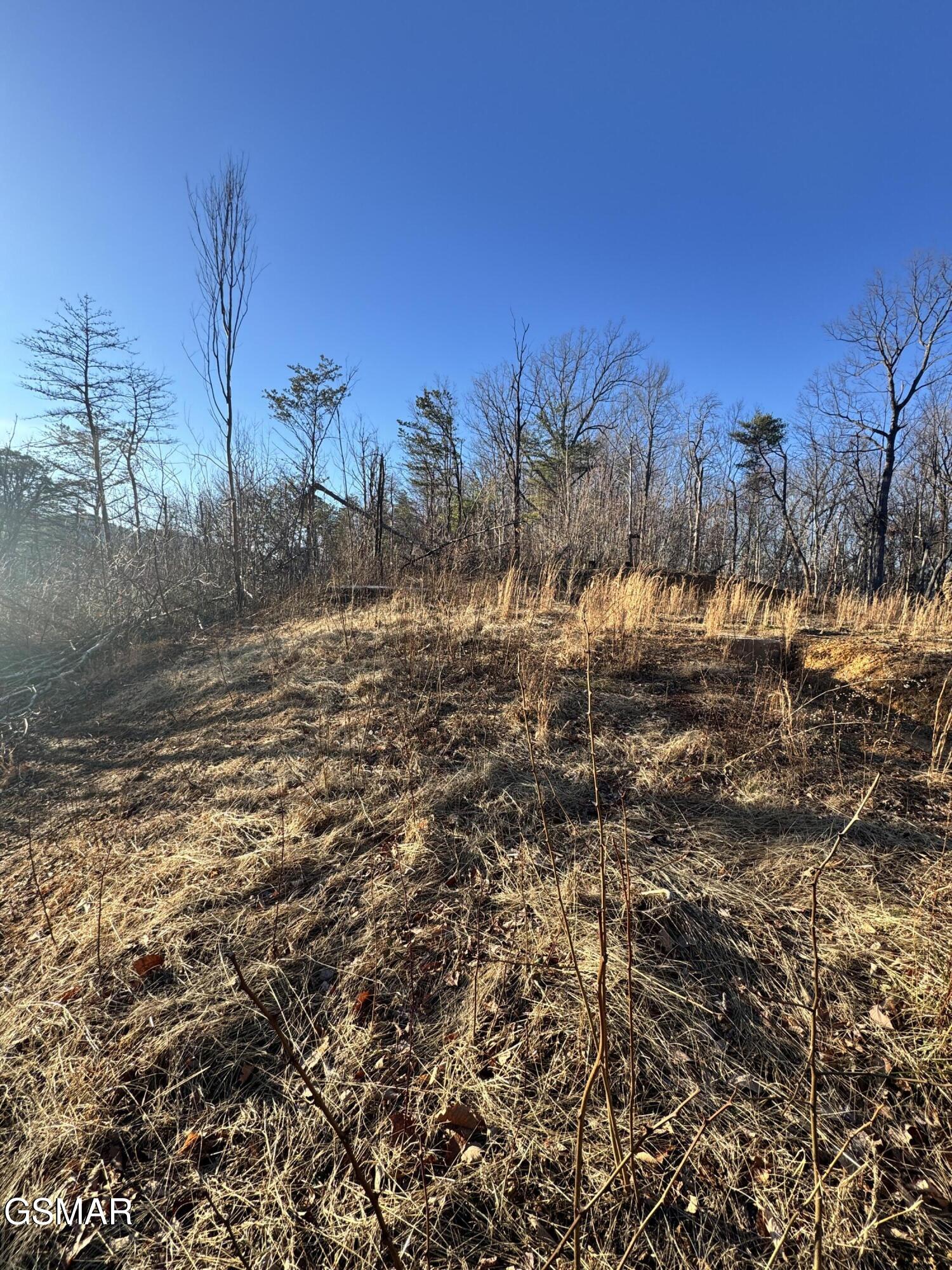 3361 Sugar Maple Loop Road Sevierville TN 37862