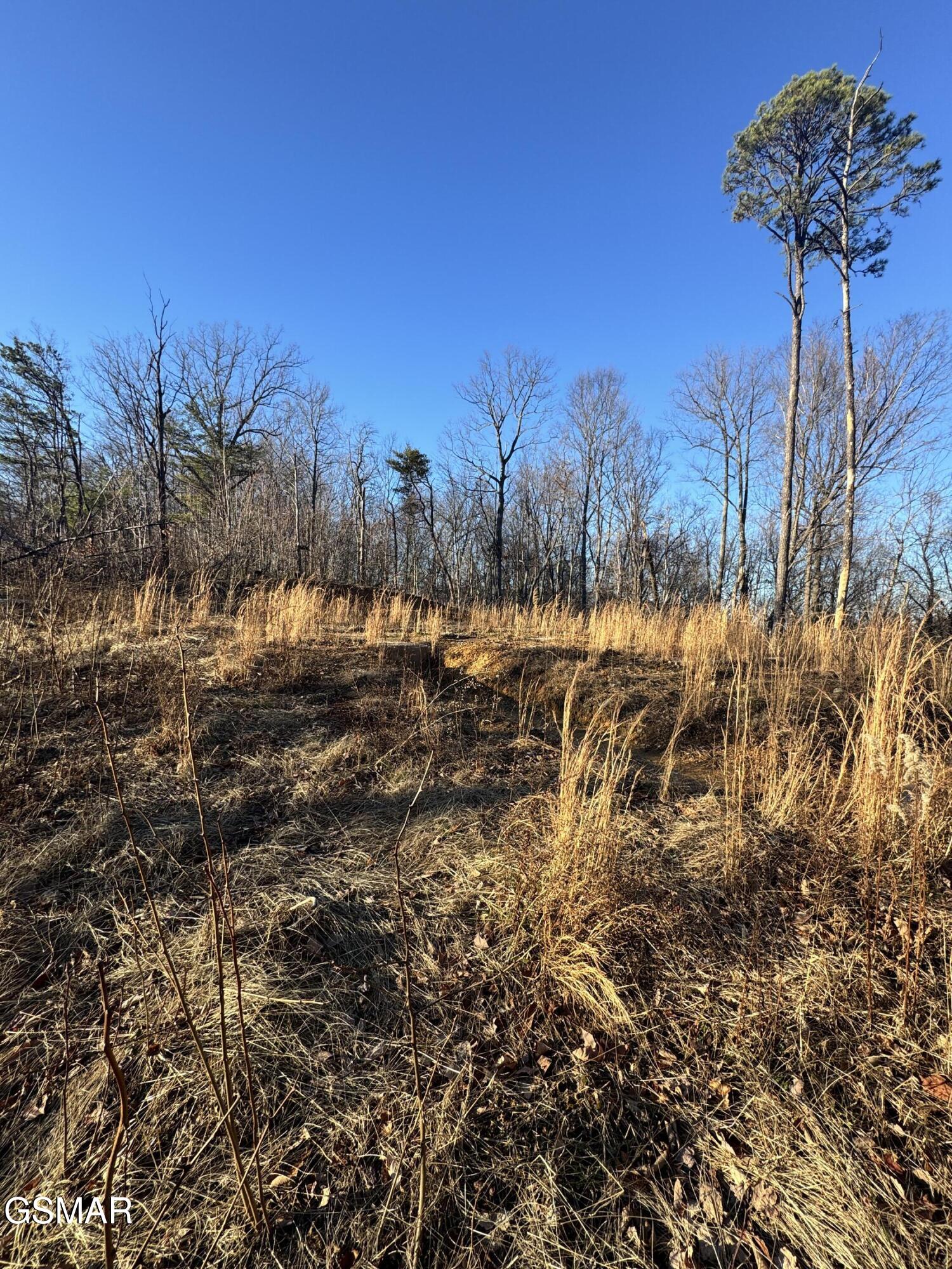3361 Sugar Maple Loop Road Sevierville TN 37862