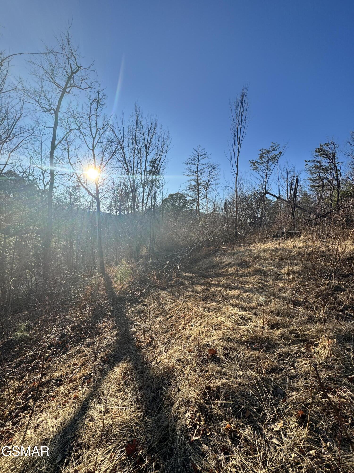 3361 Sugar Maple Loop Road Sevierville TN 37862