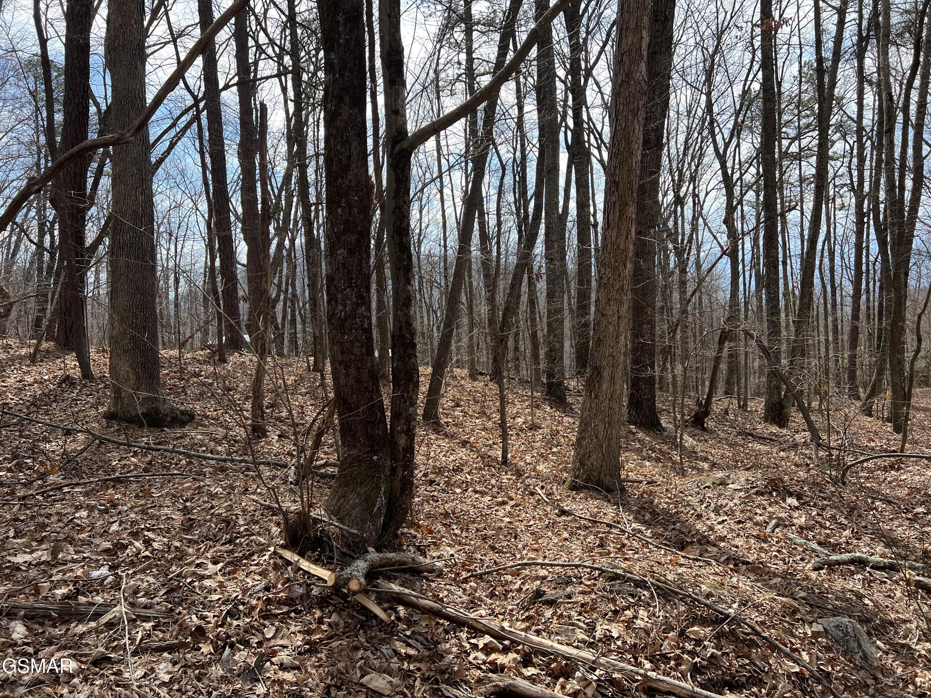 LOT12 Swann Saddle Lane Sevierville TN 37876