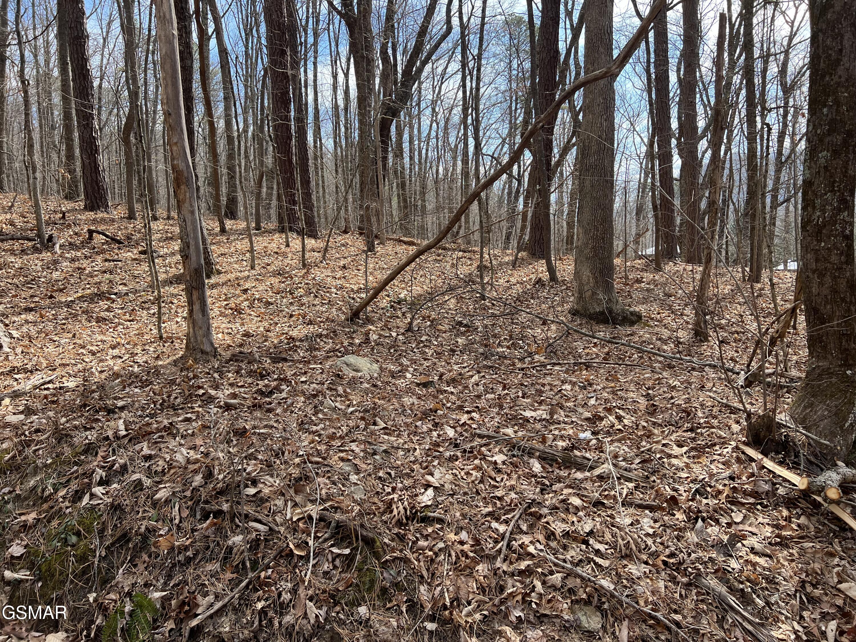 LOT12 Swann Saddle Lane Sevierville TN 37876