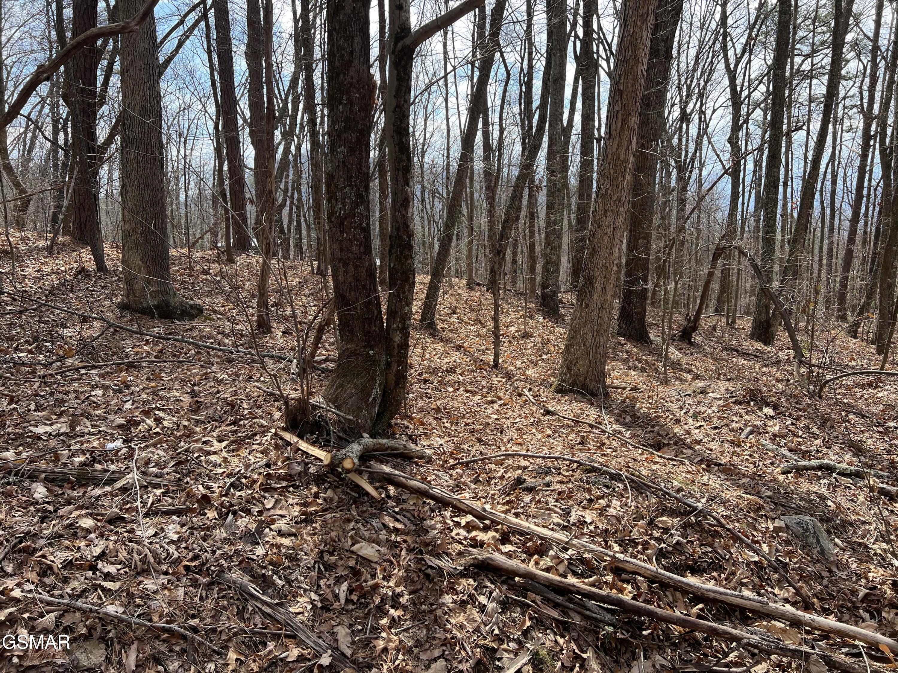 LOT12 Swann Saddle Lane Sevierville TN 37876