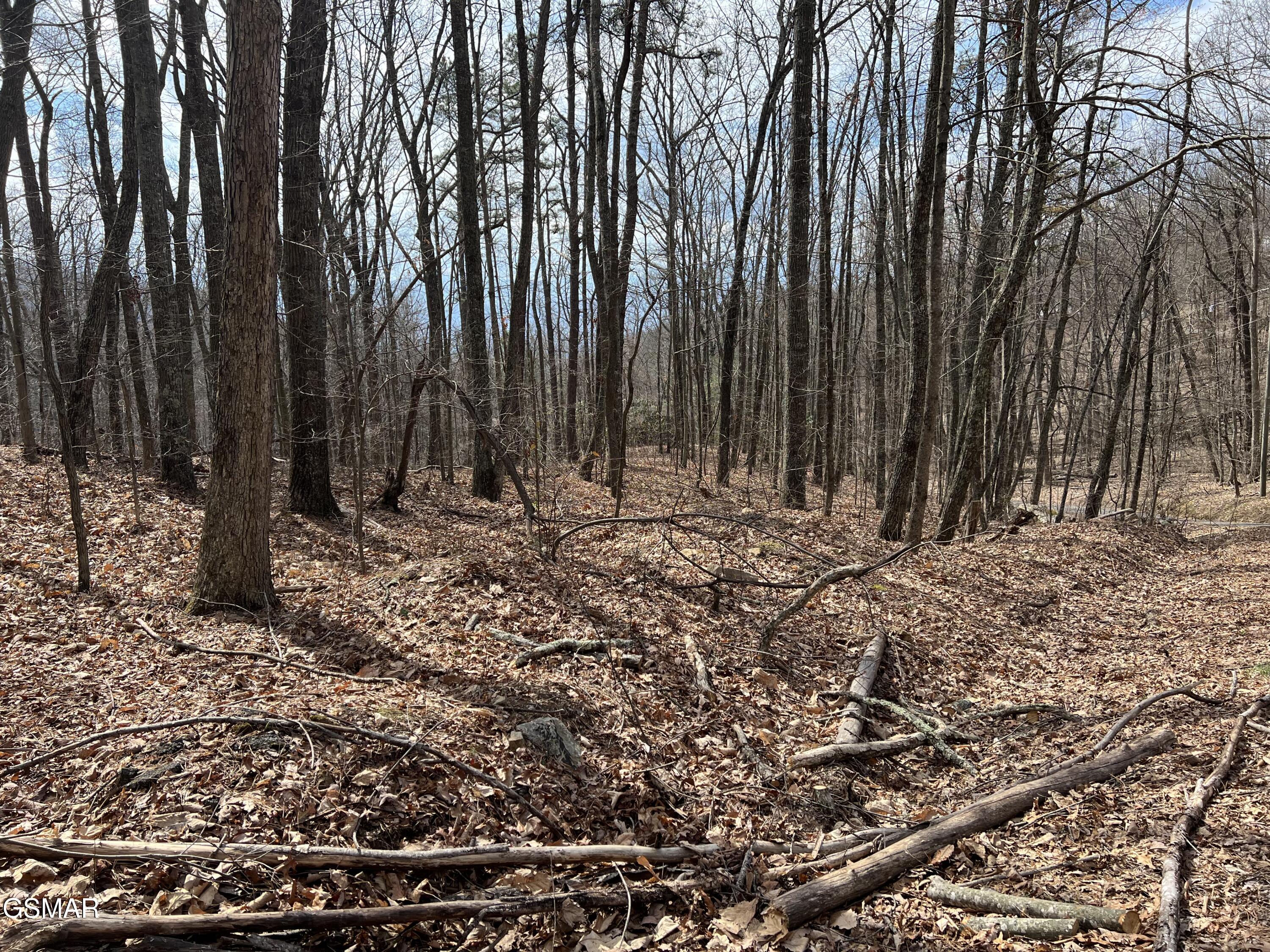 LOT12 Swann Saddle Lane Sevierville TN 37876