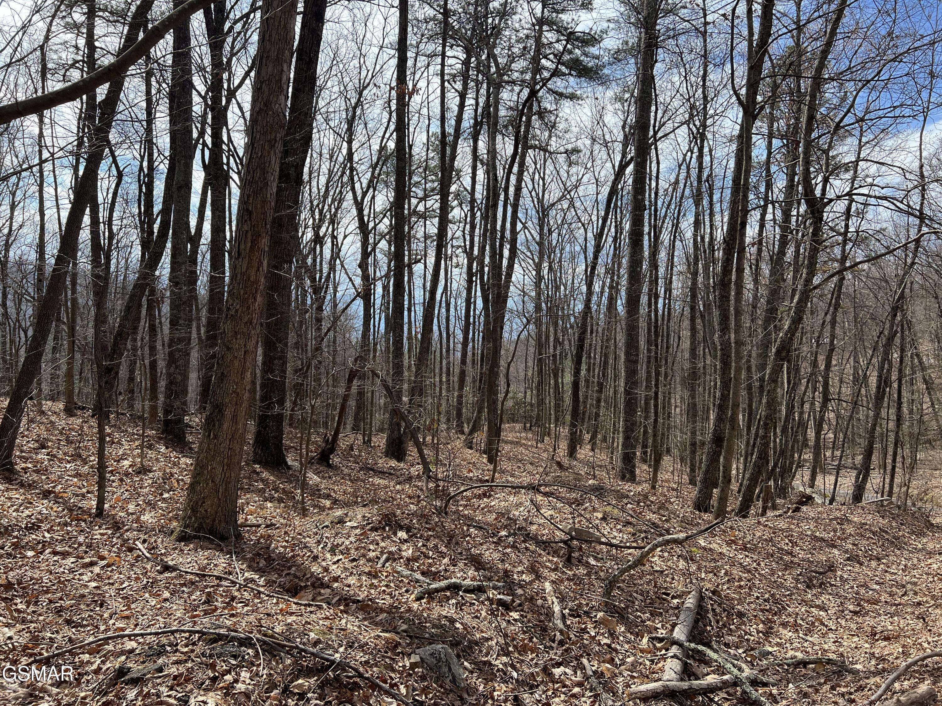 LOT12 Swann Saddle Lane Sevierville TN 37876