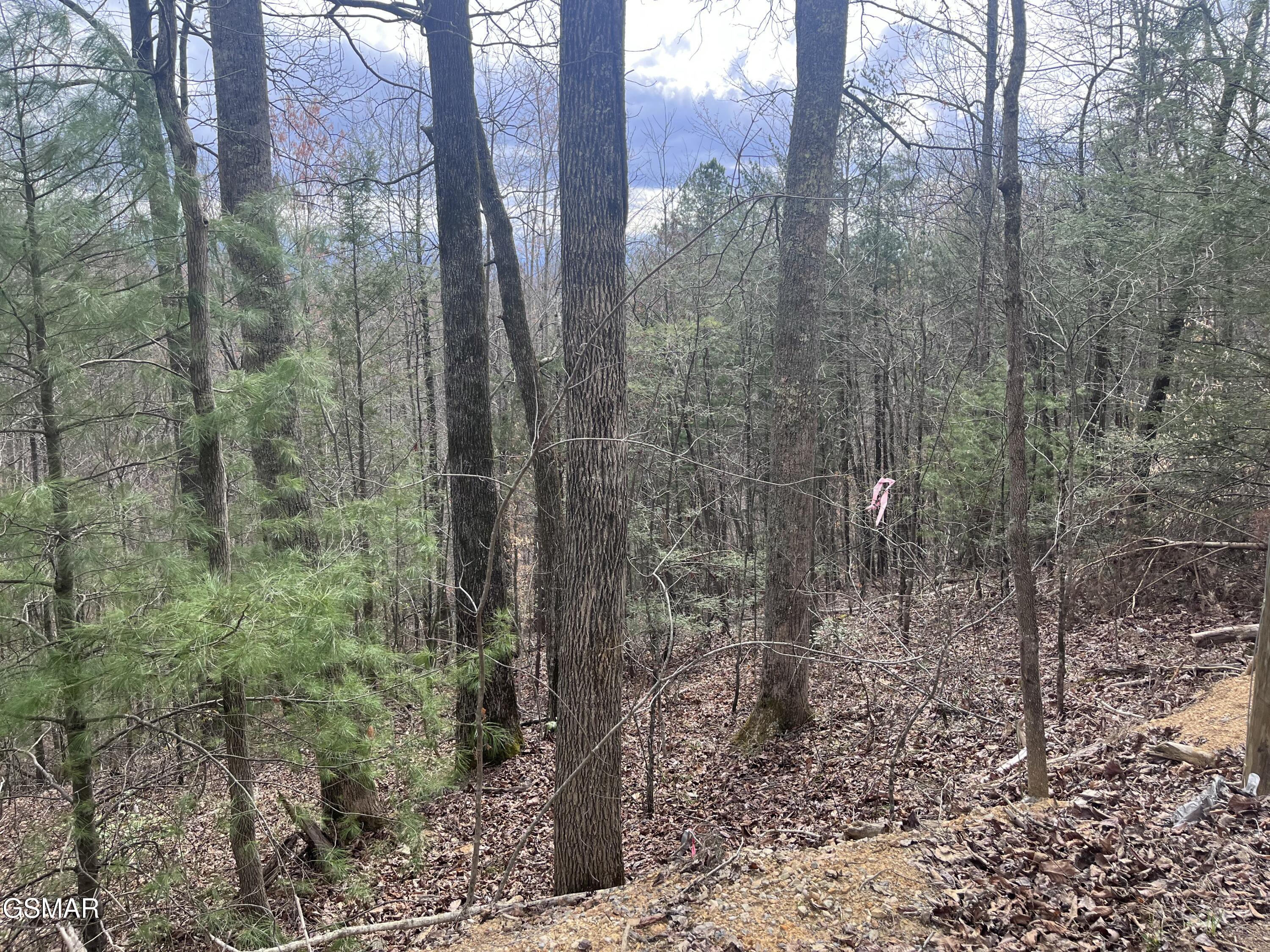 Lots 55 54 71 Yellowwood Drive Sevierville TN 37876