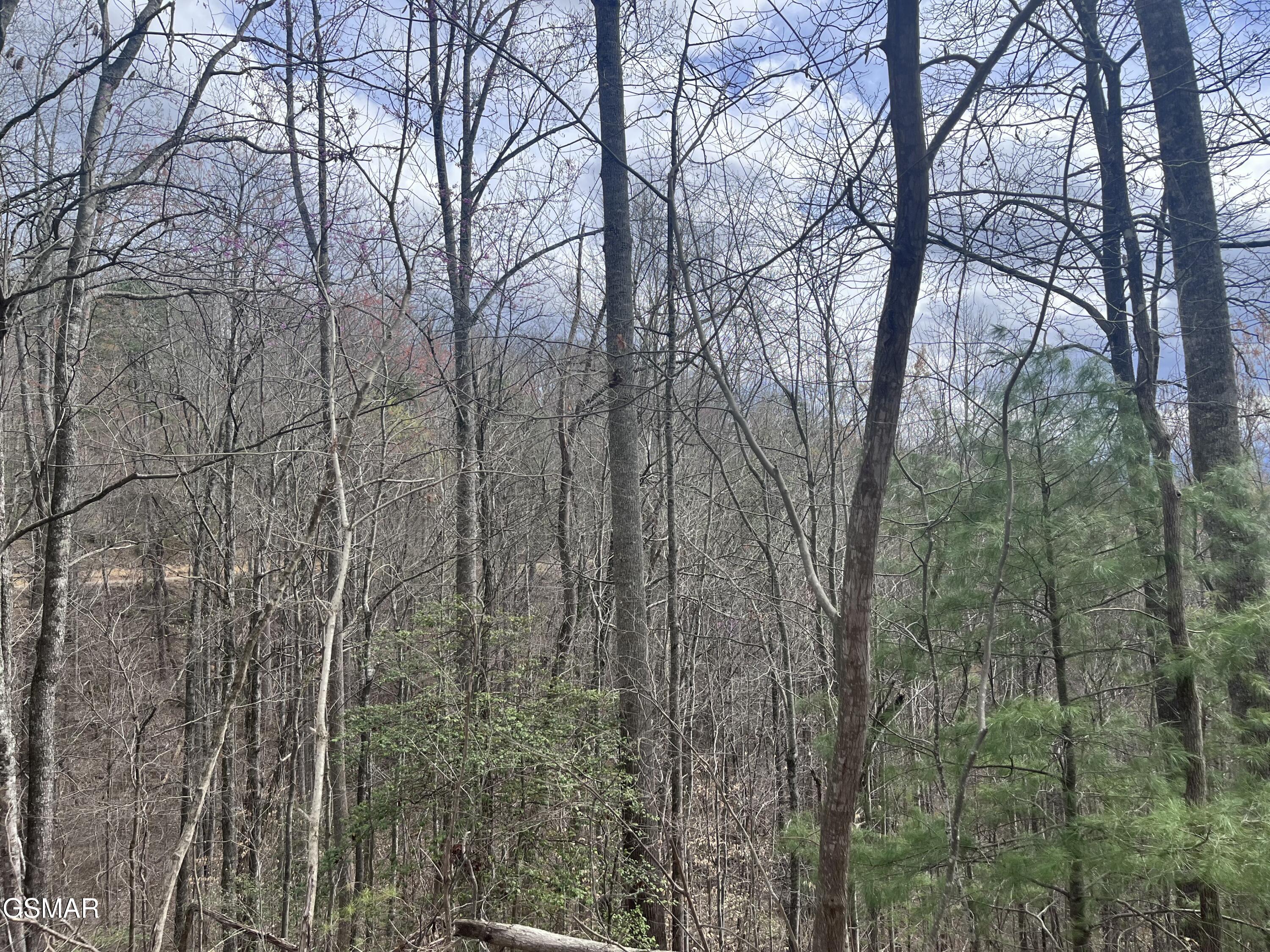 Lots 55 54 71 Yellowwood Drive Sevierville TN 37876