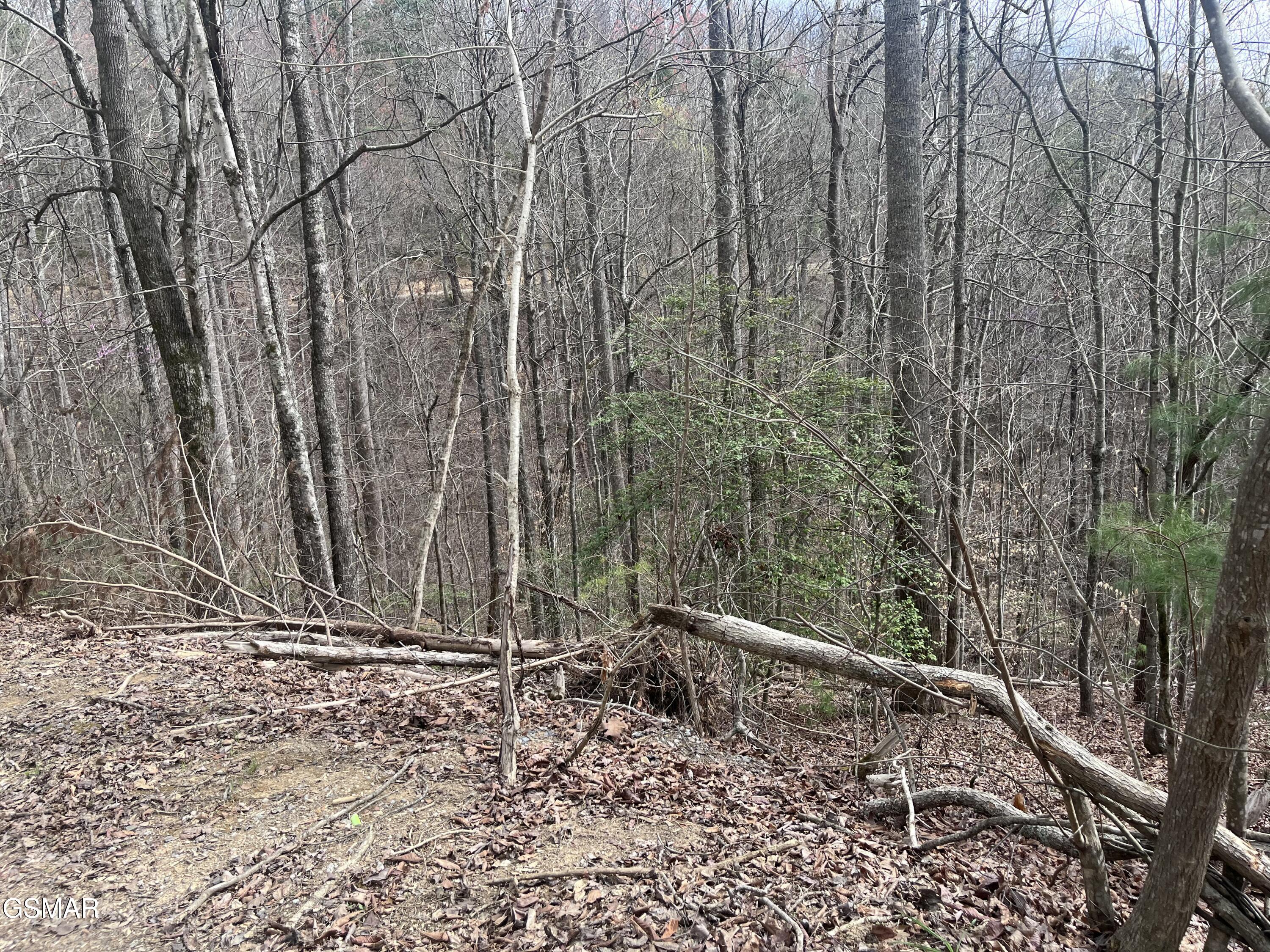 Lots 55 54 71 Yellowwood Drive Sevierville TN 37876
