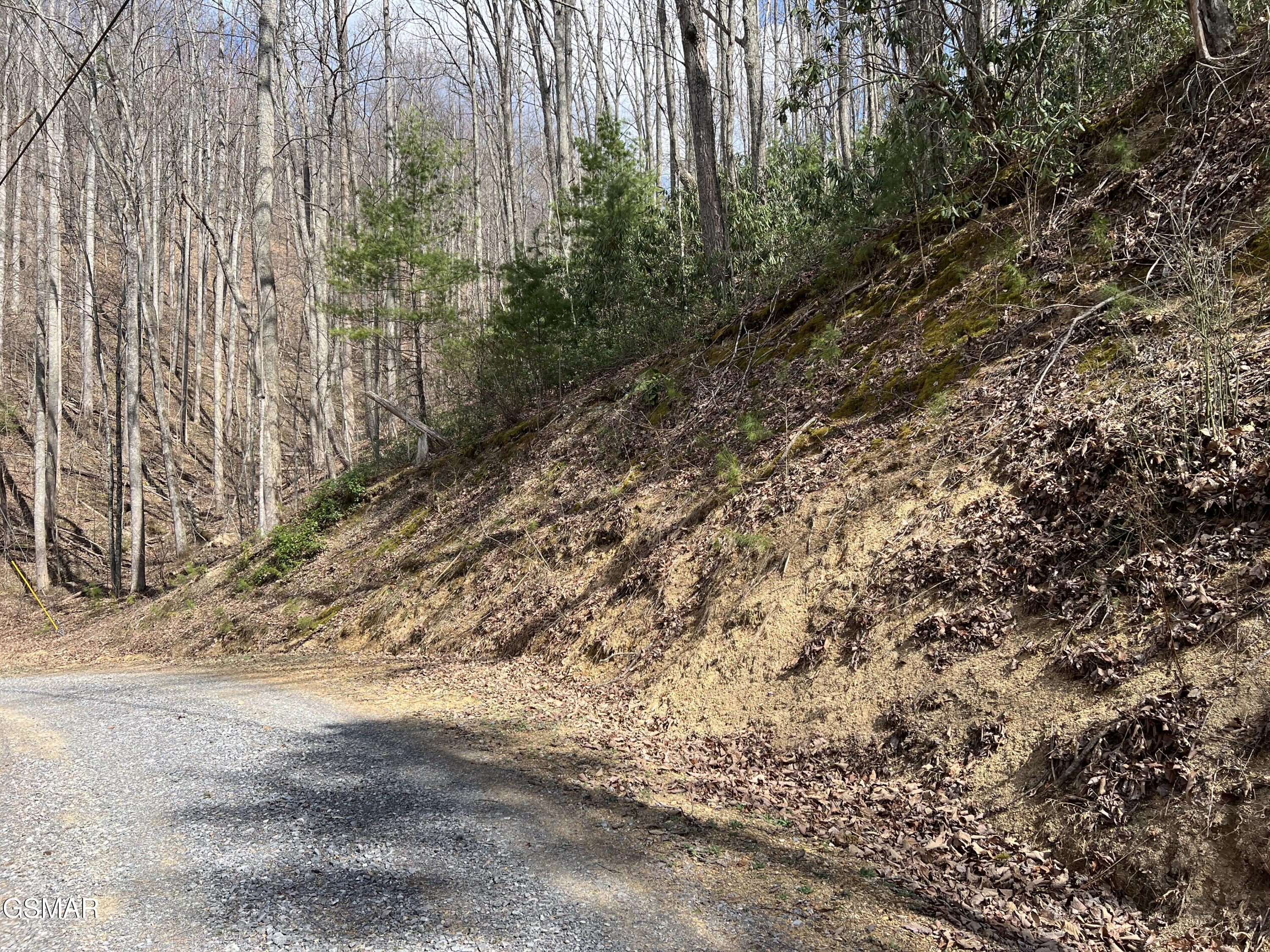 Lots 55 54 71 Yellowwood Drive Sevierville TN 37876
