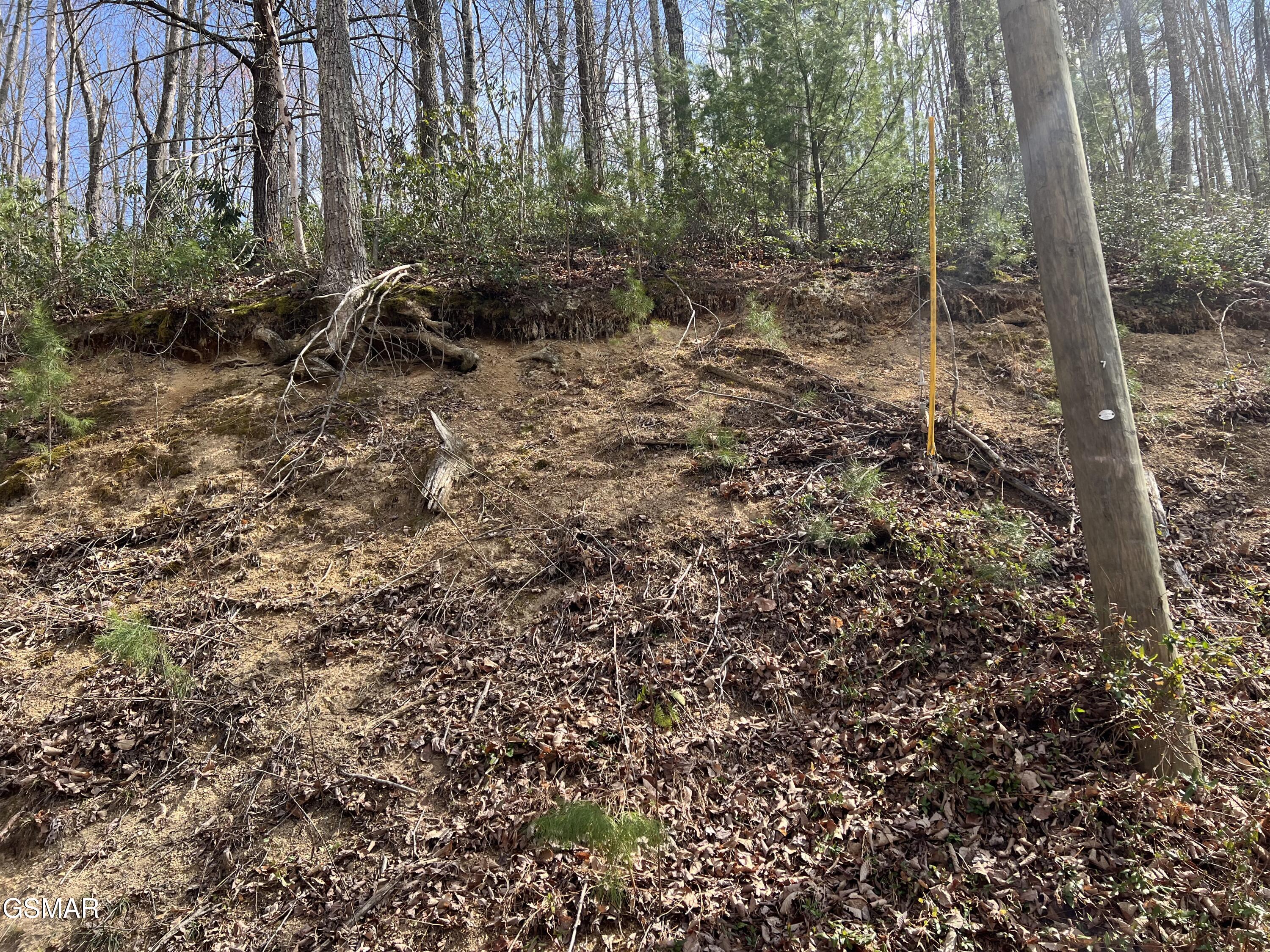 Lots 55 54 71 Yellowwood Drive Sevierville TN 37876