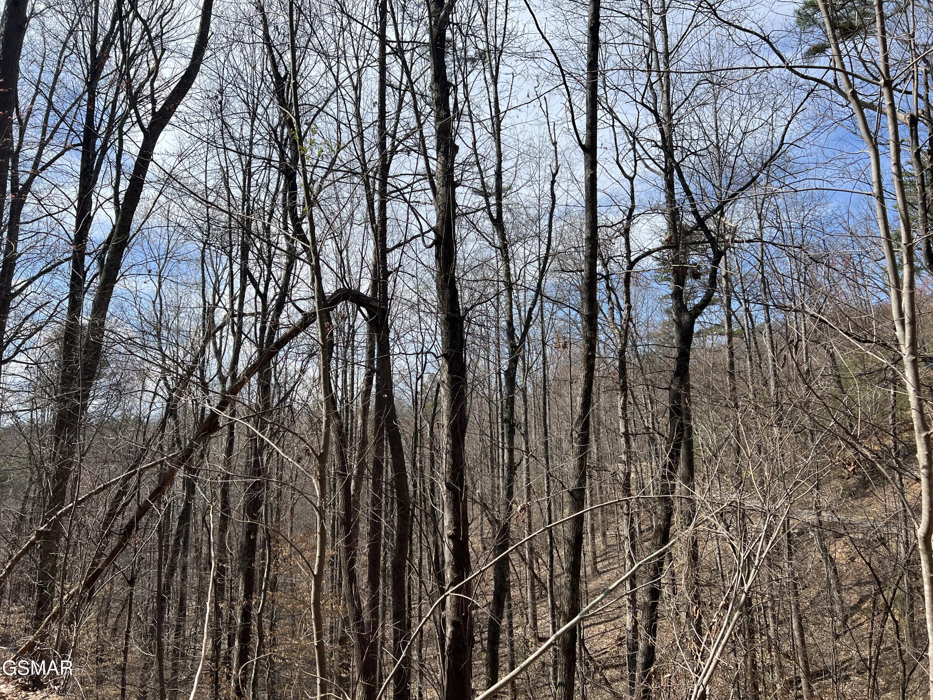 Lots 55 54 71 Yellowwood Drive Sevierville TN 37876