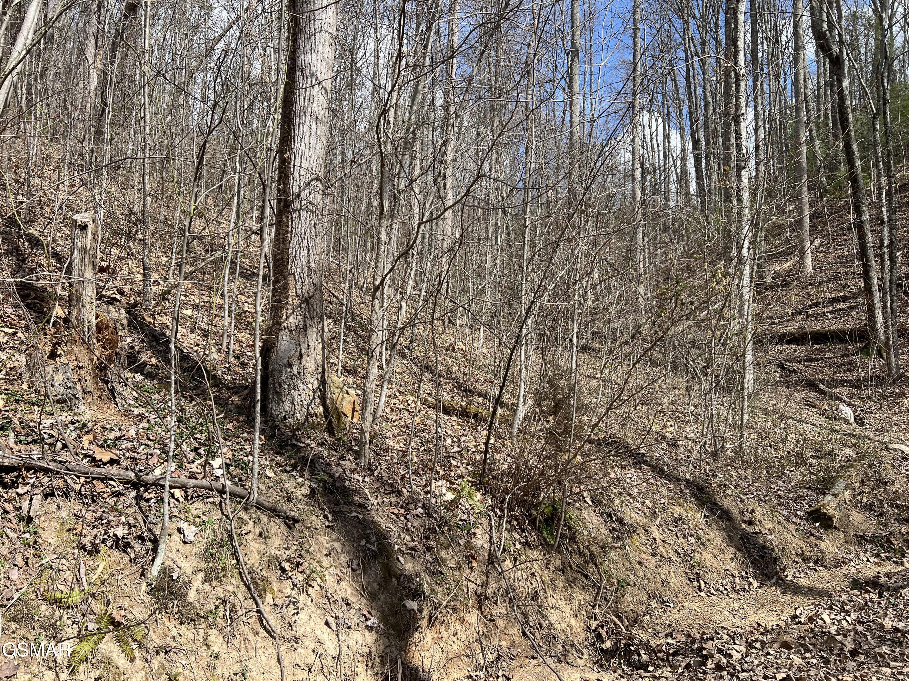 Lots 55 54 71 Yellowwood Drive Sevierville TN 37876