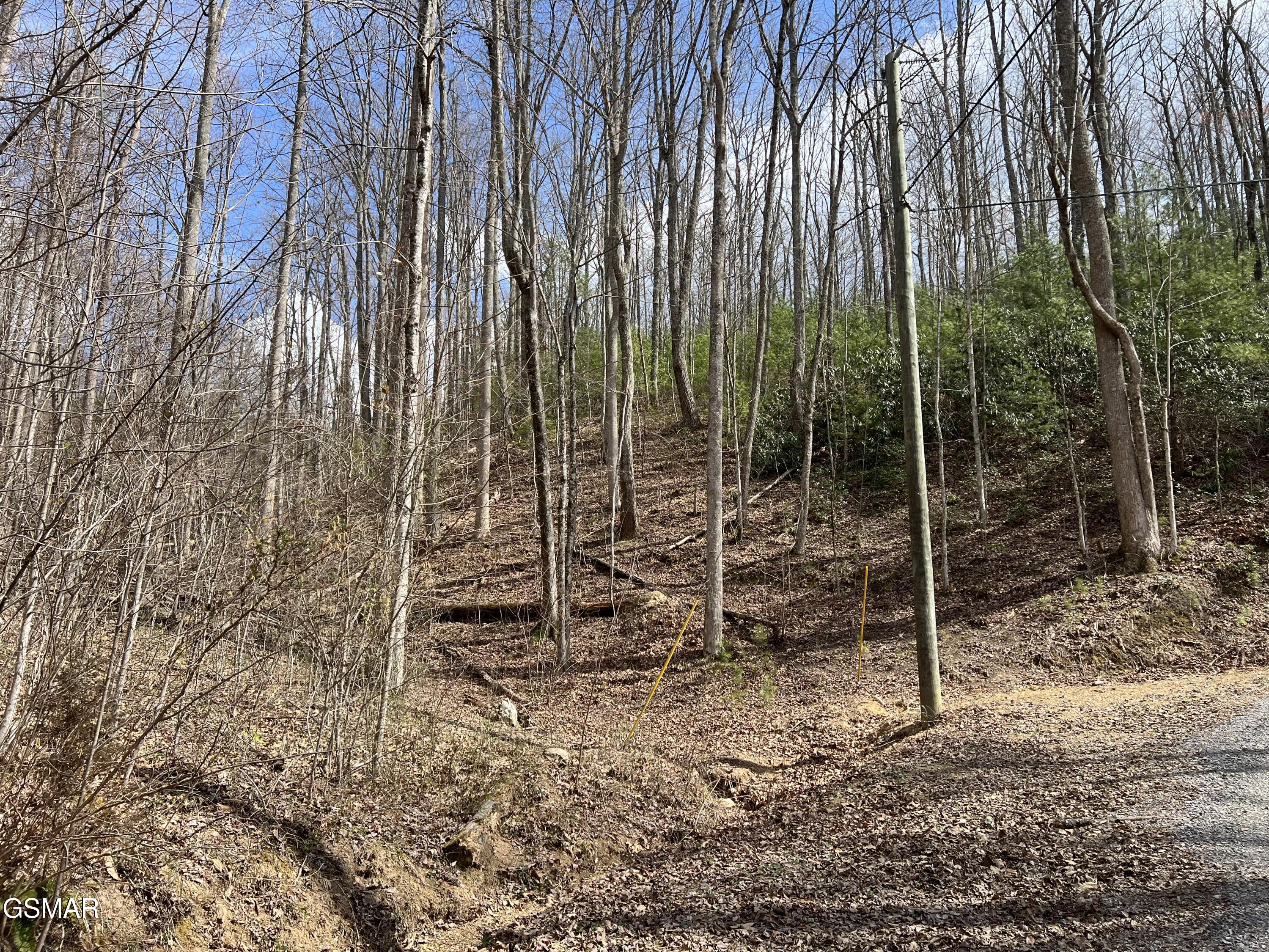 Lots 55 54 71 Yellowwood Drive Sevierville TN 37876