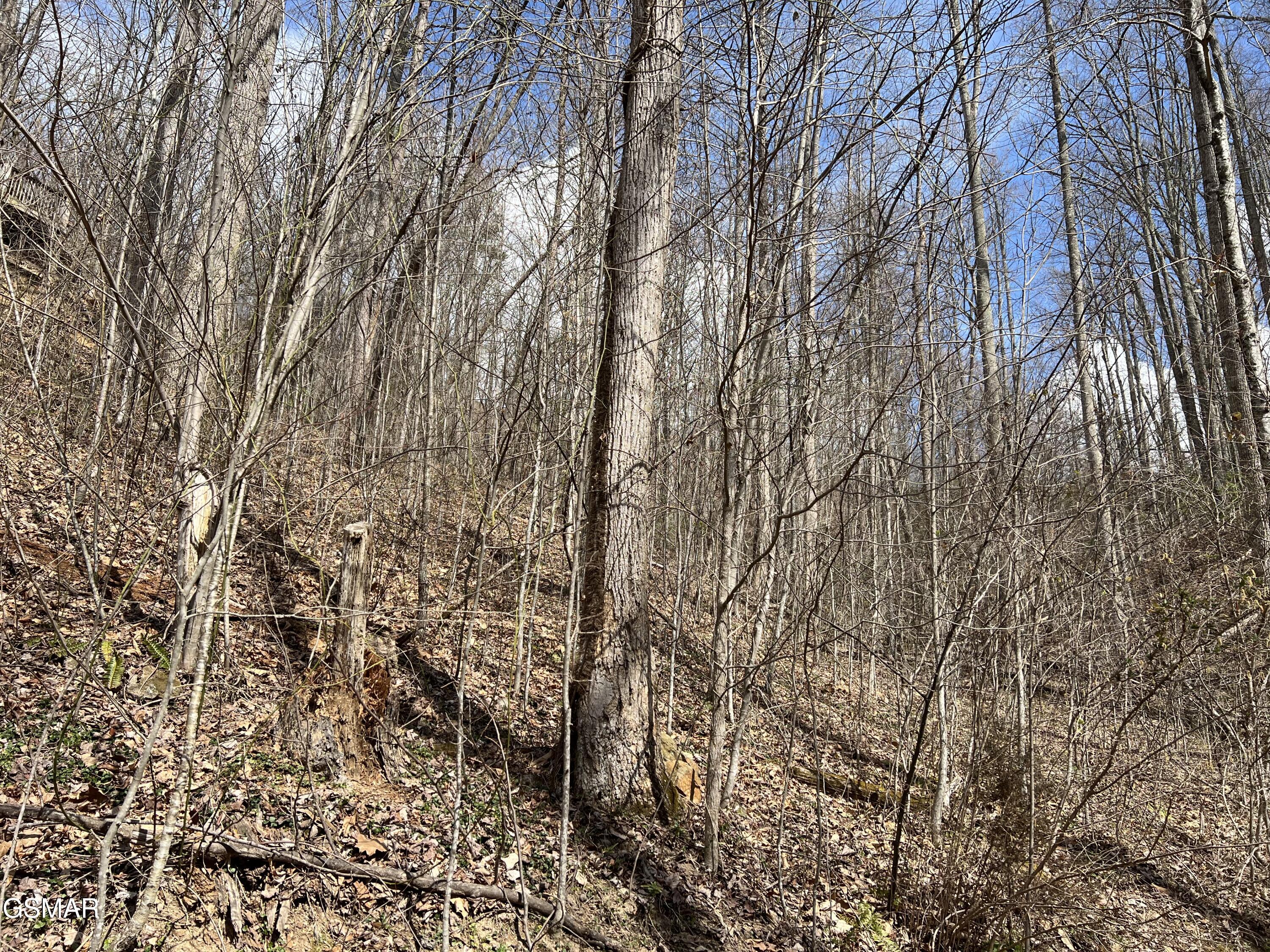 Lots 55 54 71 Yellowwood Drive Sevierville TN 37876