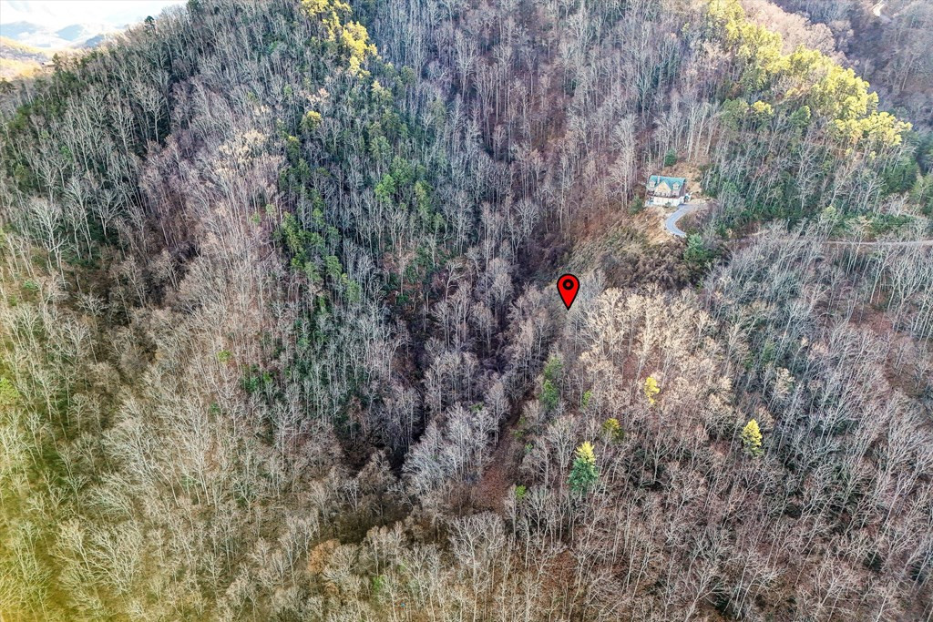 Lots 6-7 Balsam Slopes Road Sevierville TN 37862