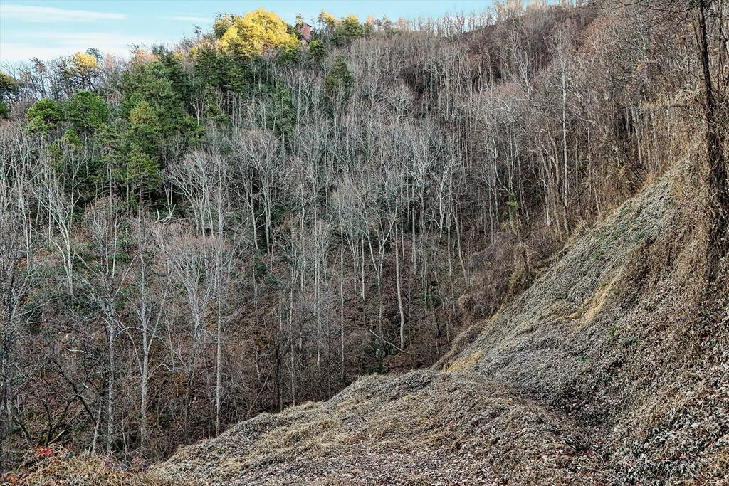 Lots 6-7 Balsam Slopes Road Sevierville TN 37862