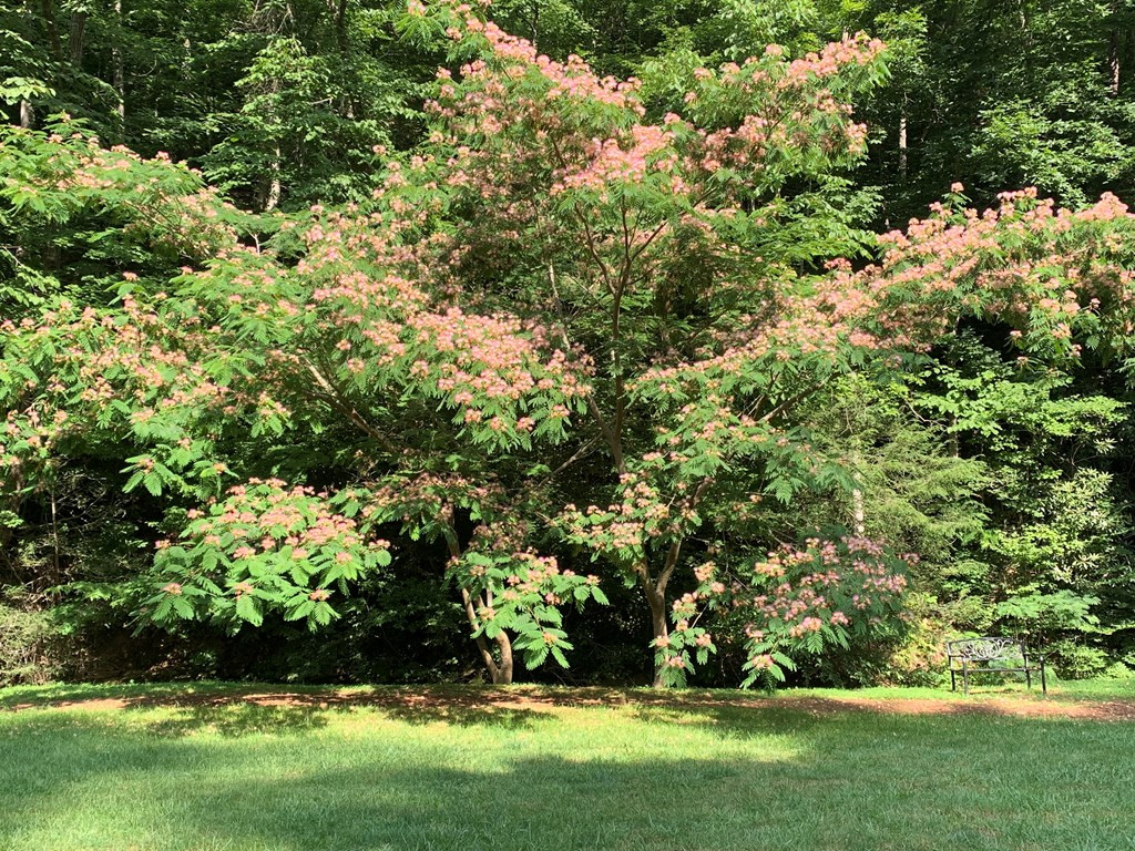 Lots 6-7 Balsam Slopes Road Sevierville TN 37862