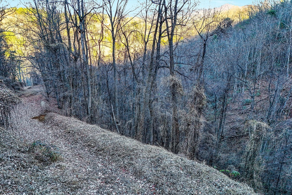 Lots 6-7 Balsam Slopes Road Sevierville TN 37862