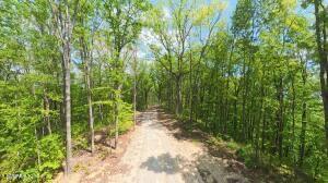 177 Eagle View Lane Jacksboro TN 37757