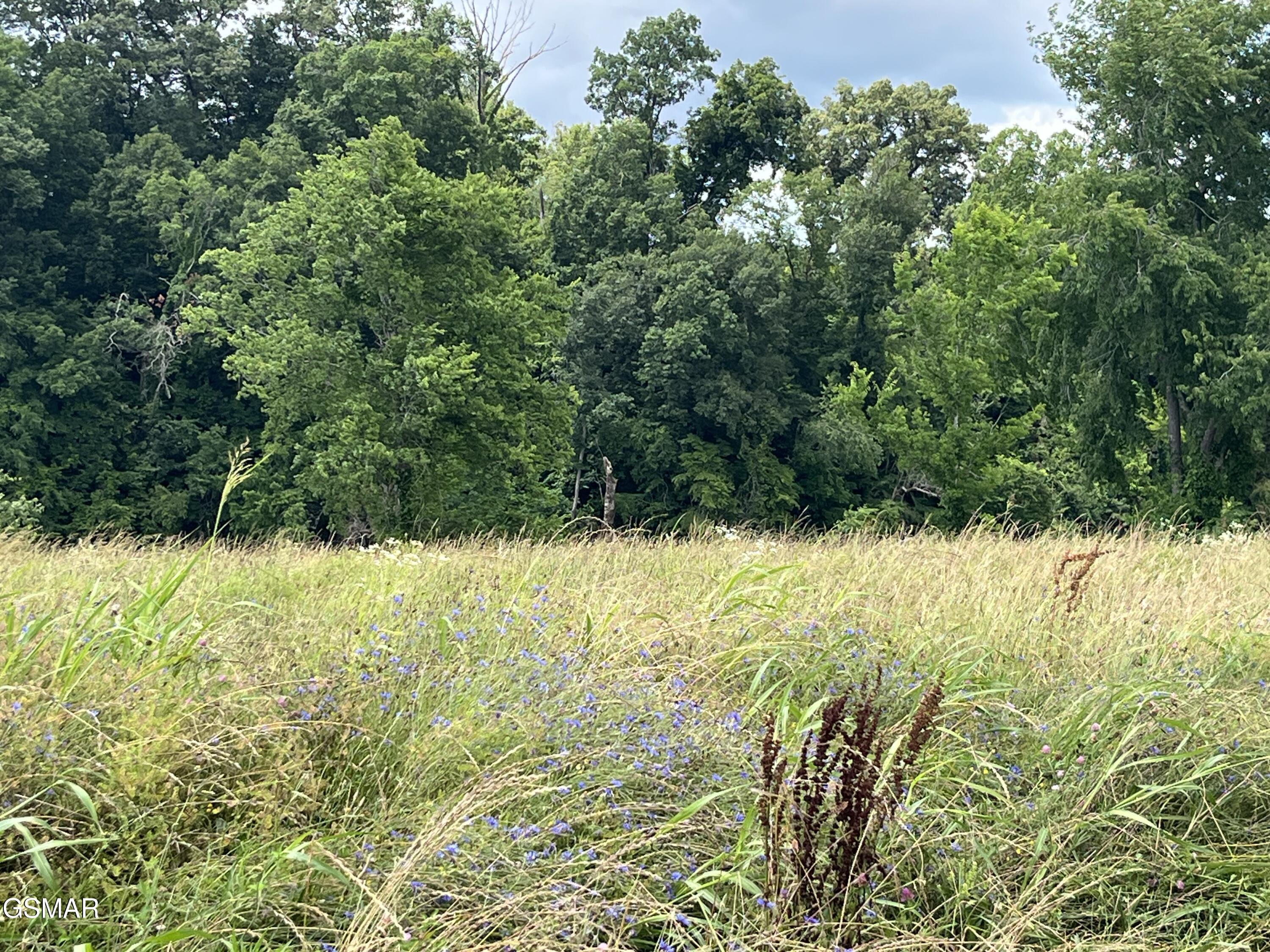 39 Lot Tributary Drive Sevierville TN 37876