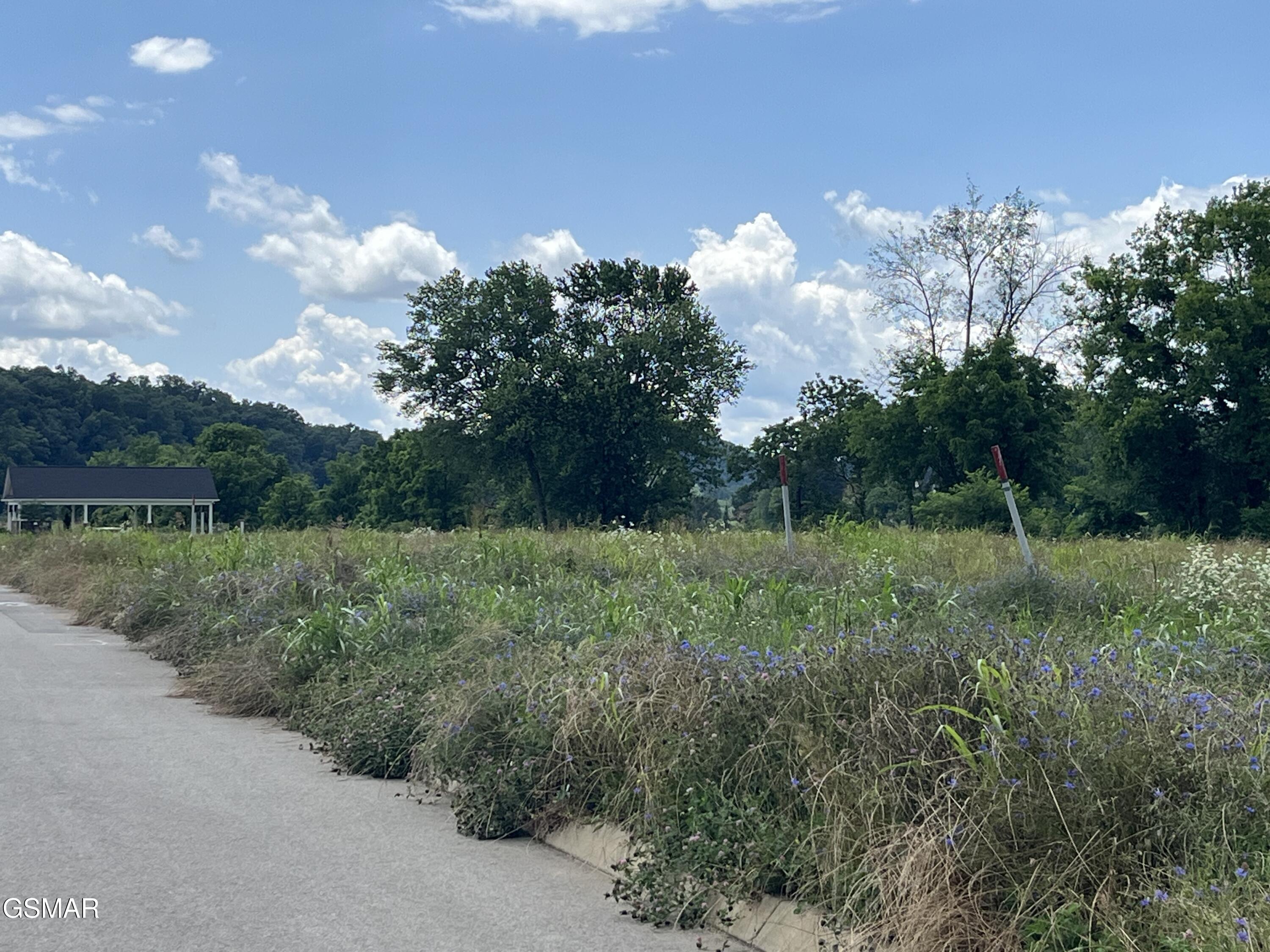 39 Lot Tributary Drive Sevierville TN 37876