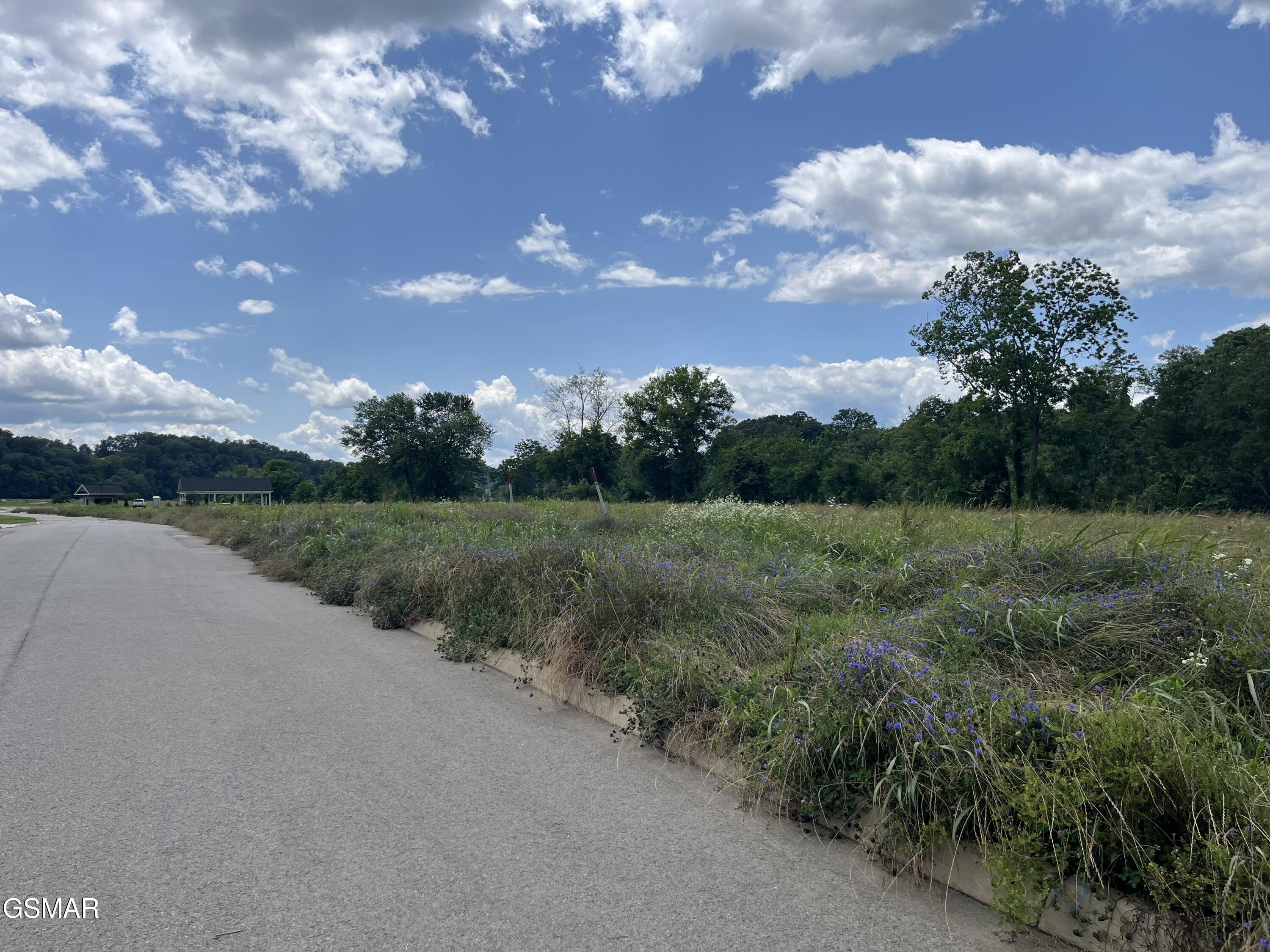39 Lot Tributary Drive Sevierville TN 37876
