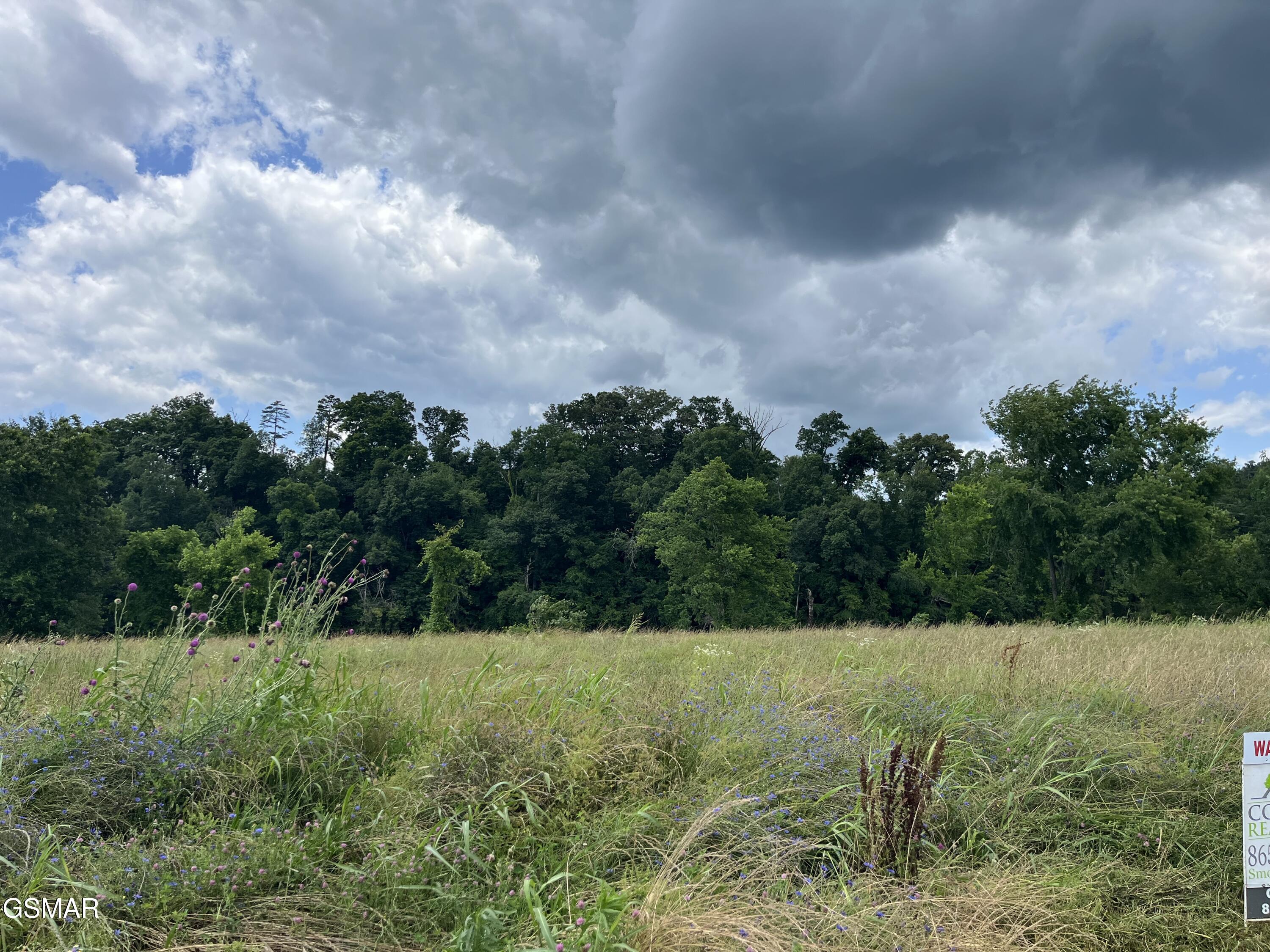 39 Lot Tributary Drive Sevierville TN 37876