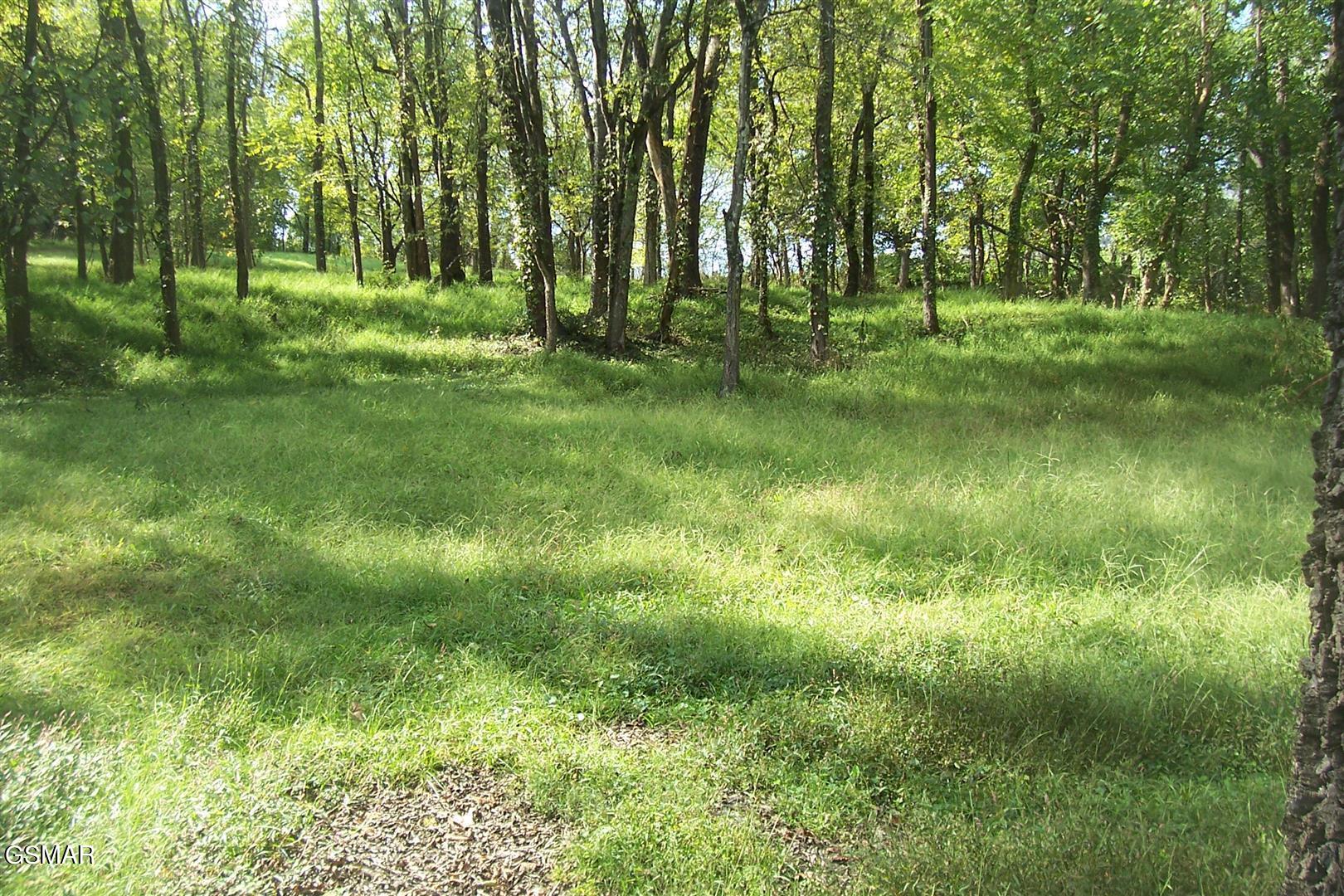 Lot 2r-1 Chapman Highway Seymour TN 37865