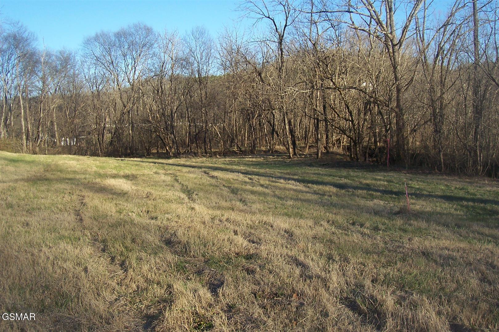 Lot 2r-1 Chapman Highway Seymour TN 37865