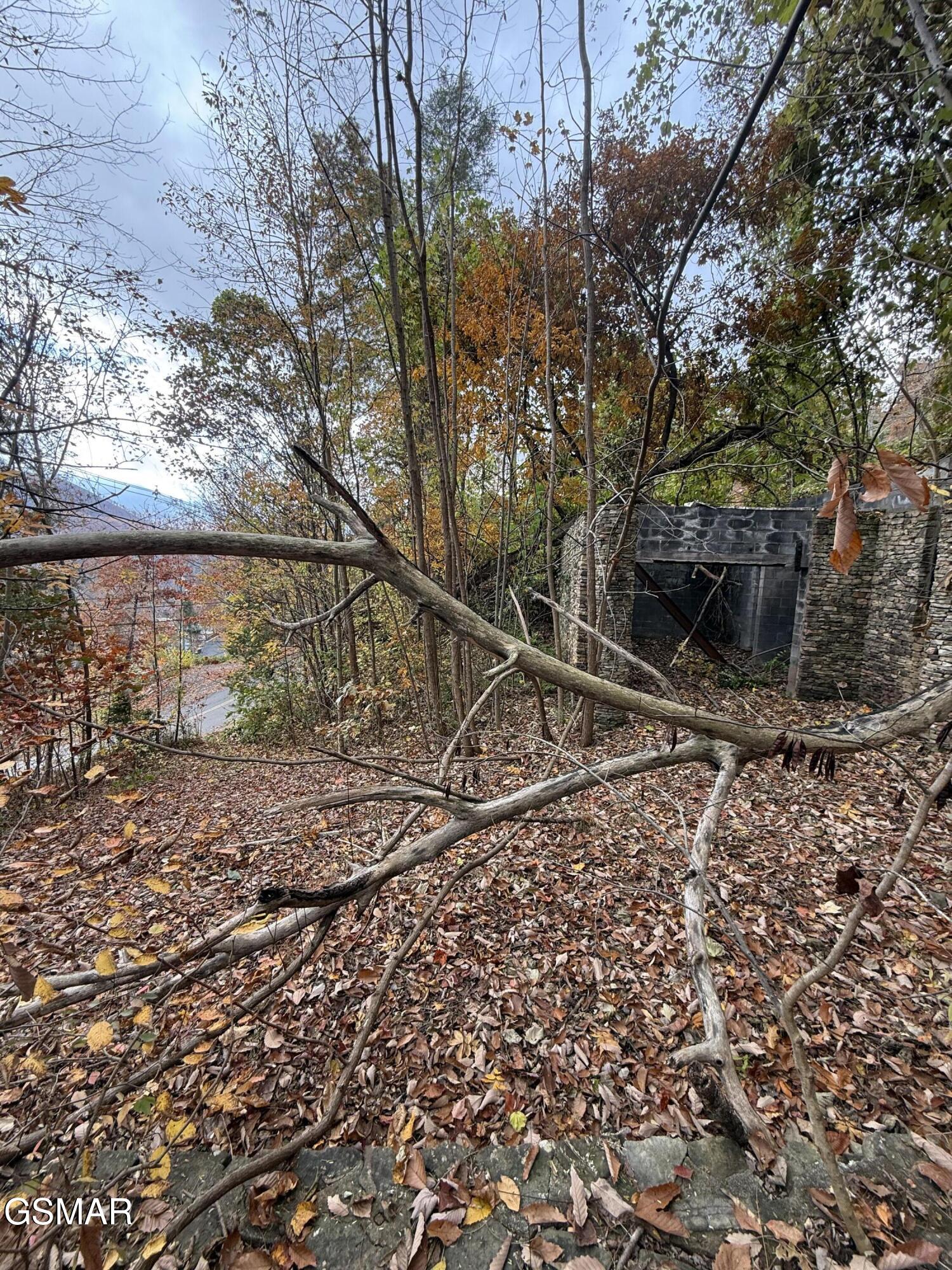 278 Greystone Heights Road Gatlinburg TN 37738